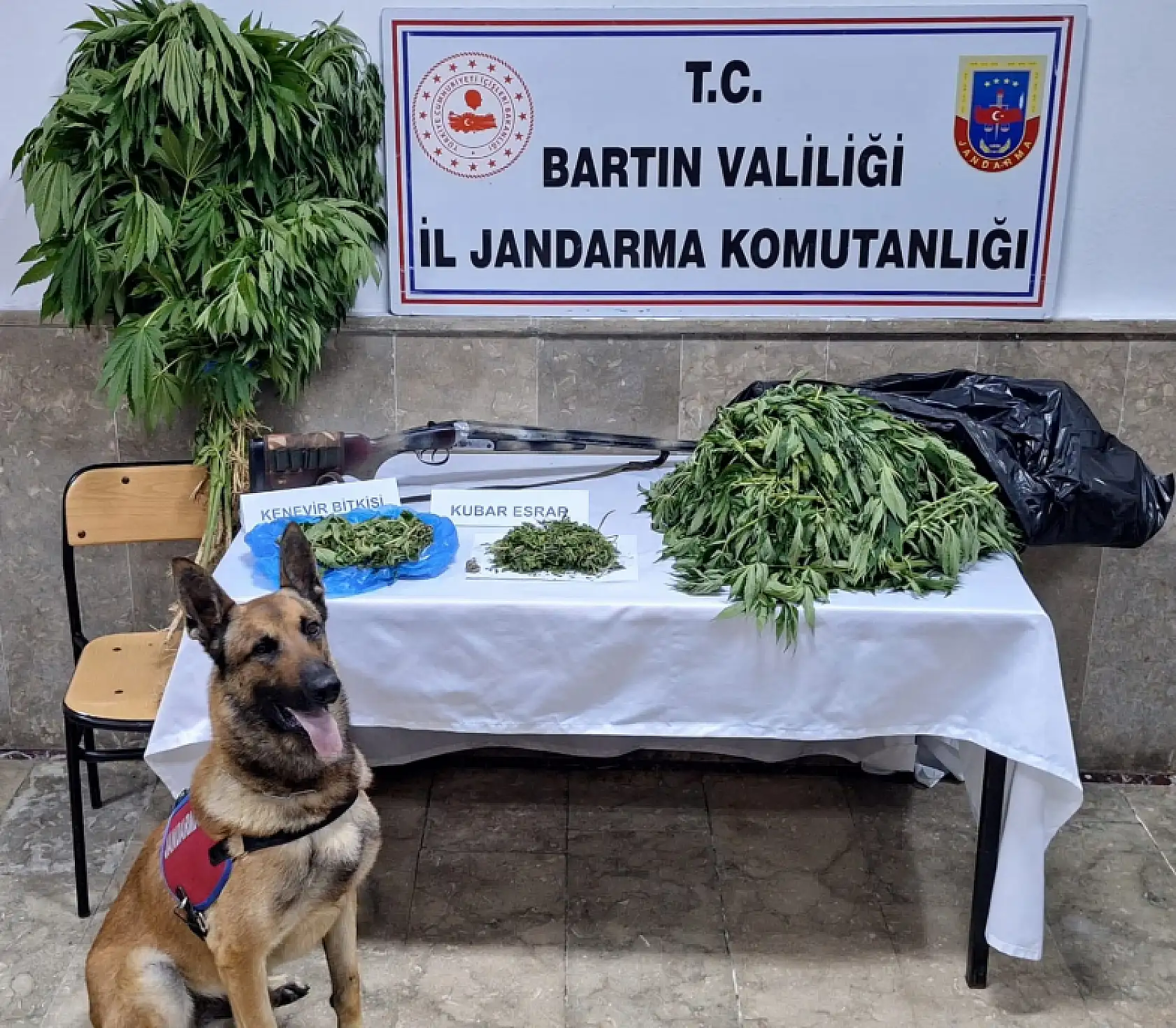 Jandarmadan Operasyon: 1 Tutuklama