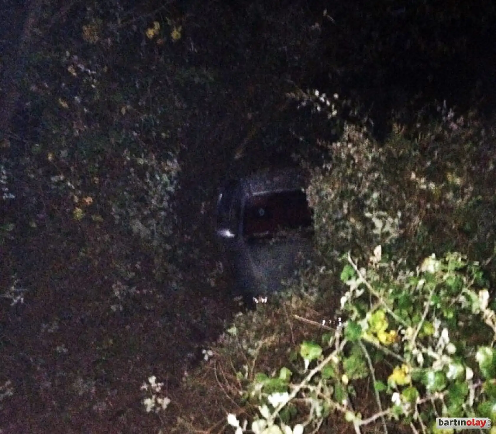 Domuz zincirleme kazaya sebep oldu