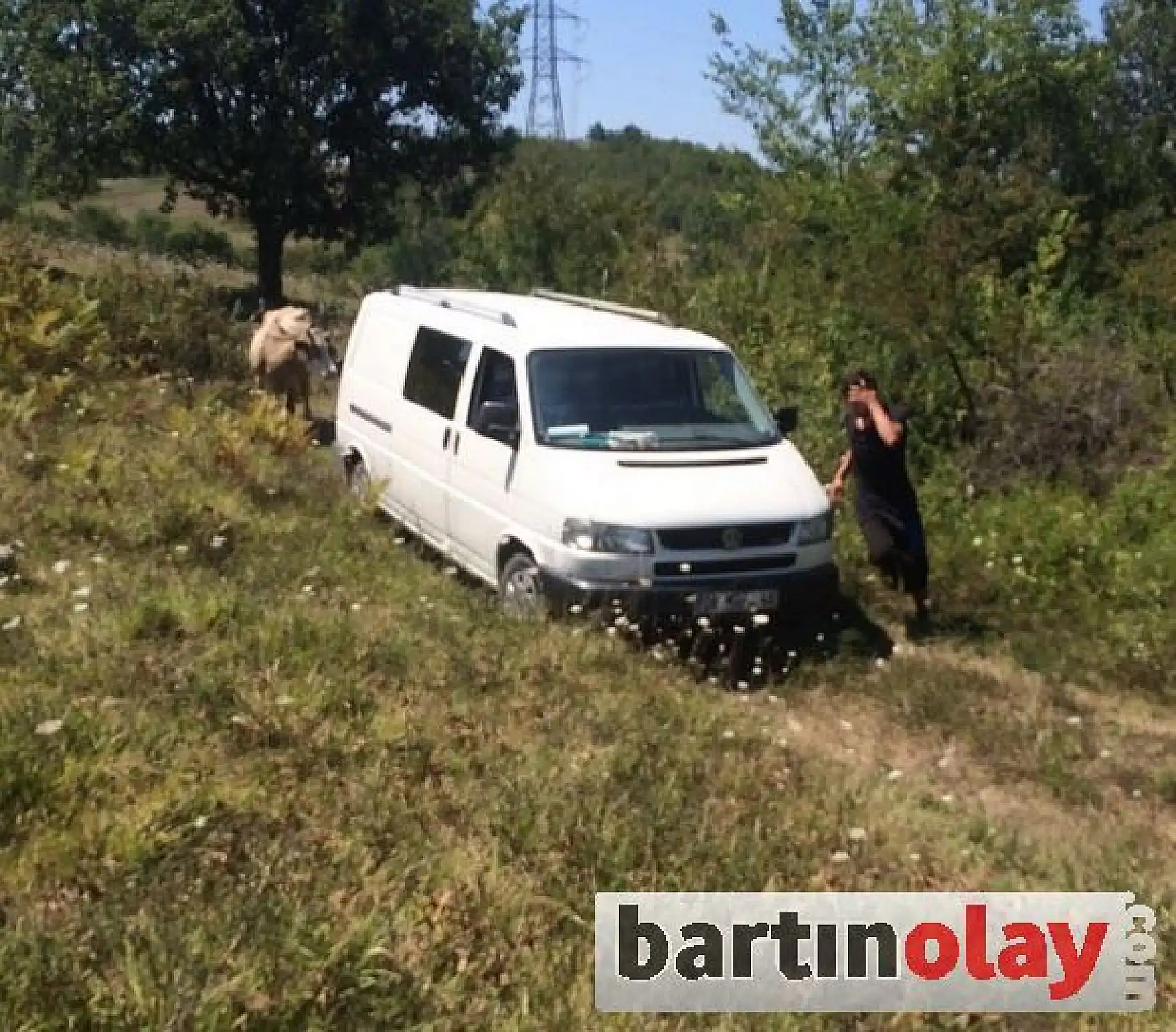 Minibüsle hayvan hırsızlığı yapanlar aranıyor