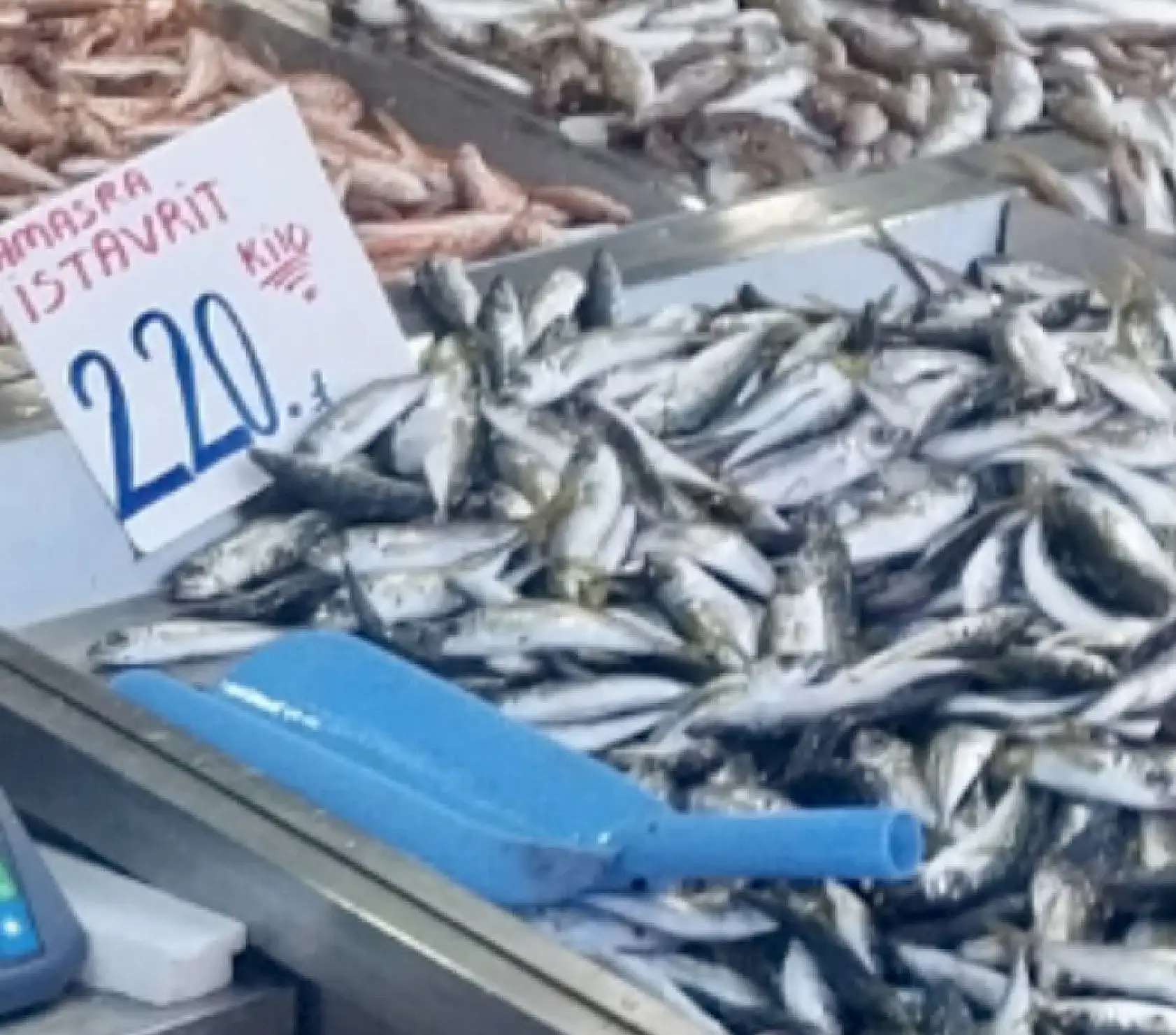 Balıkta sezon finali