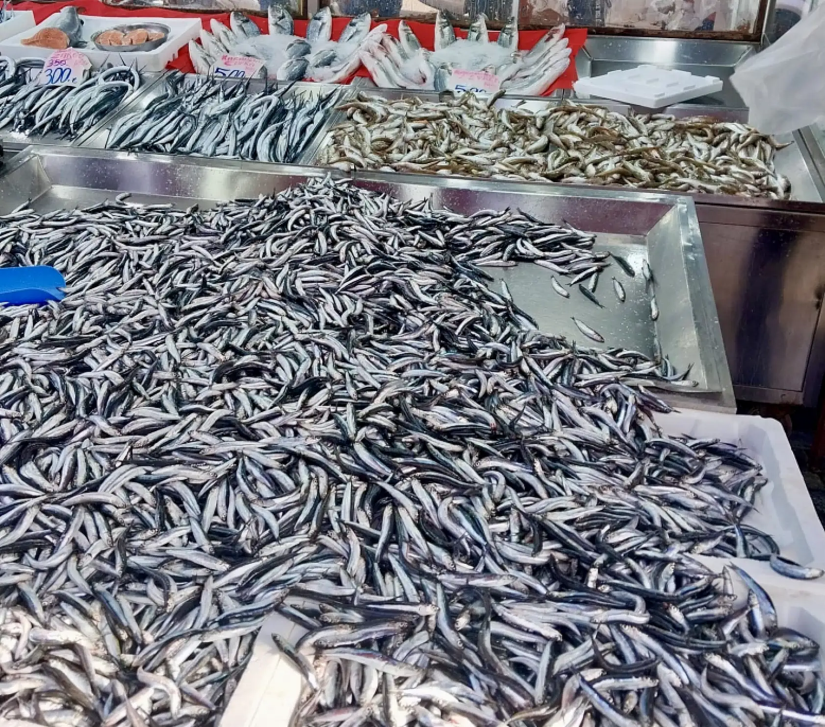 Fiyatlar asansör misali