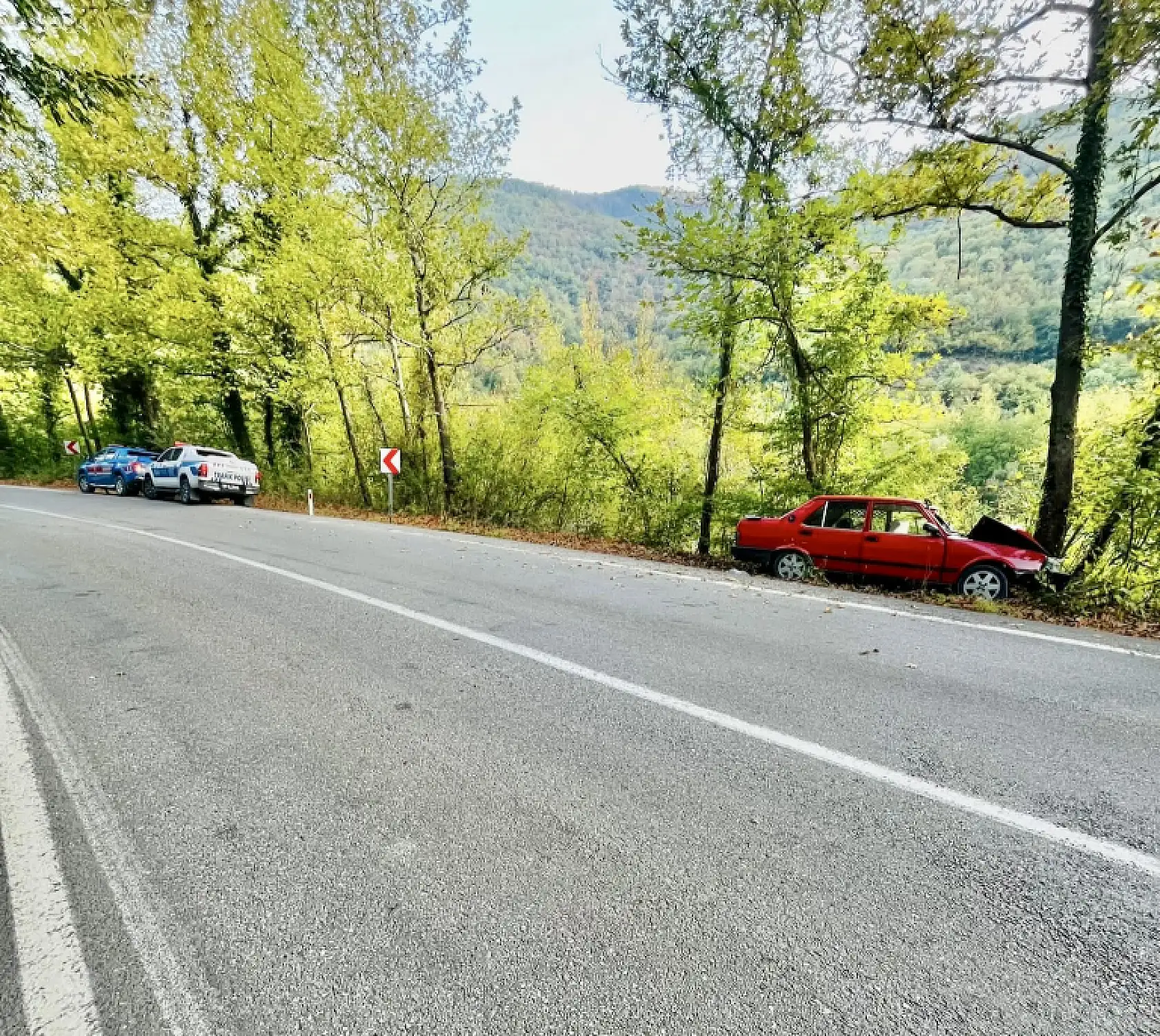 Yoldan çıkan otomobil ağaca çarptı