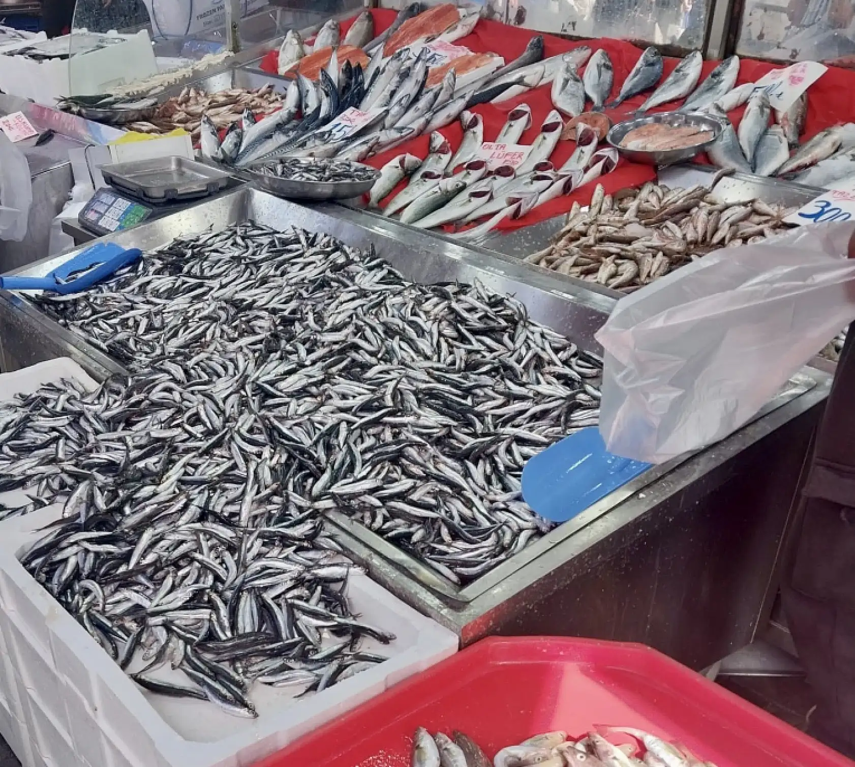 Fiyatlar denize göre değişiyor