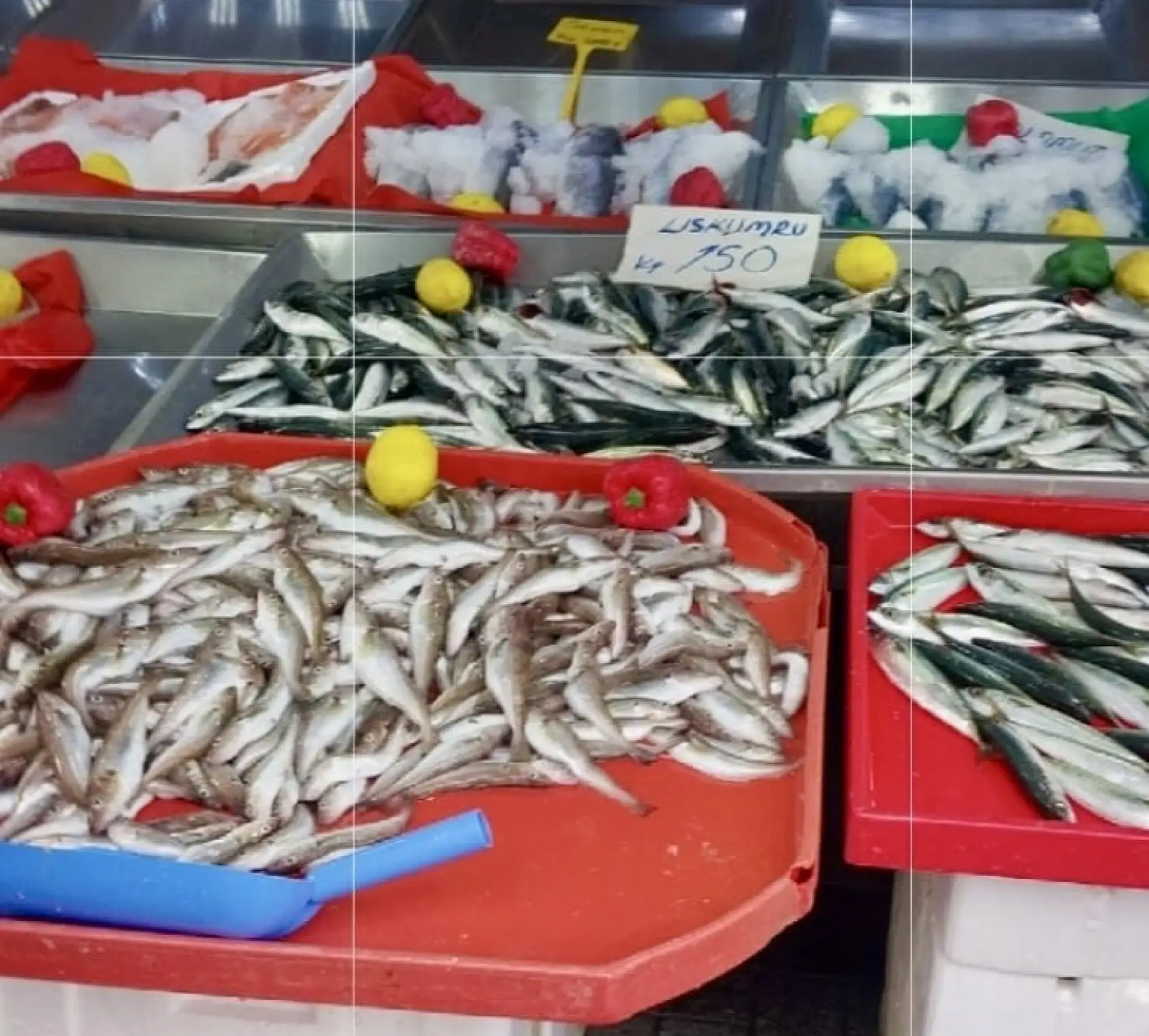 Her bütçeye uygun balık var!