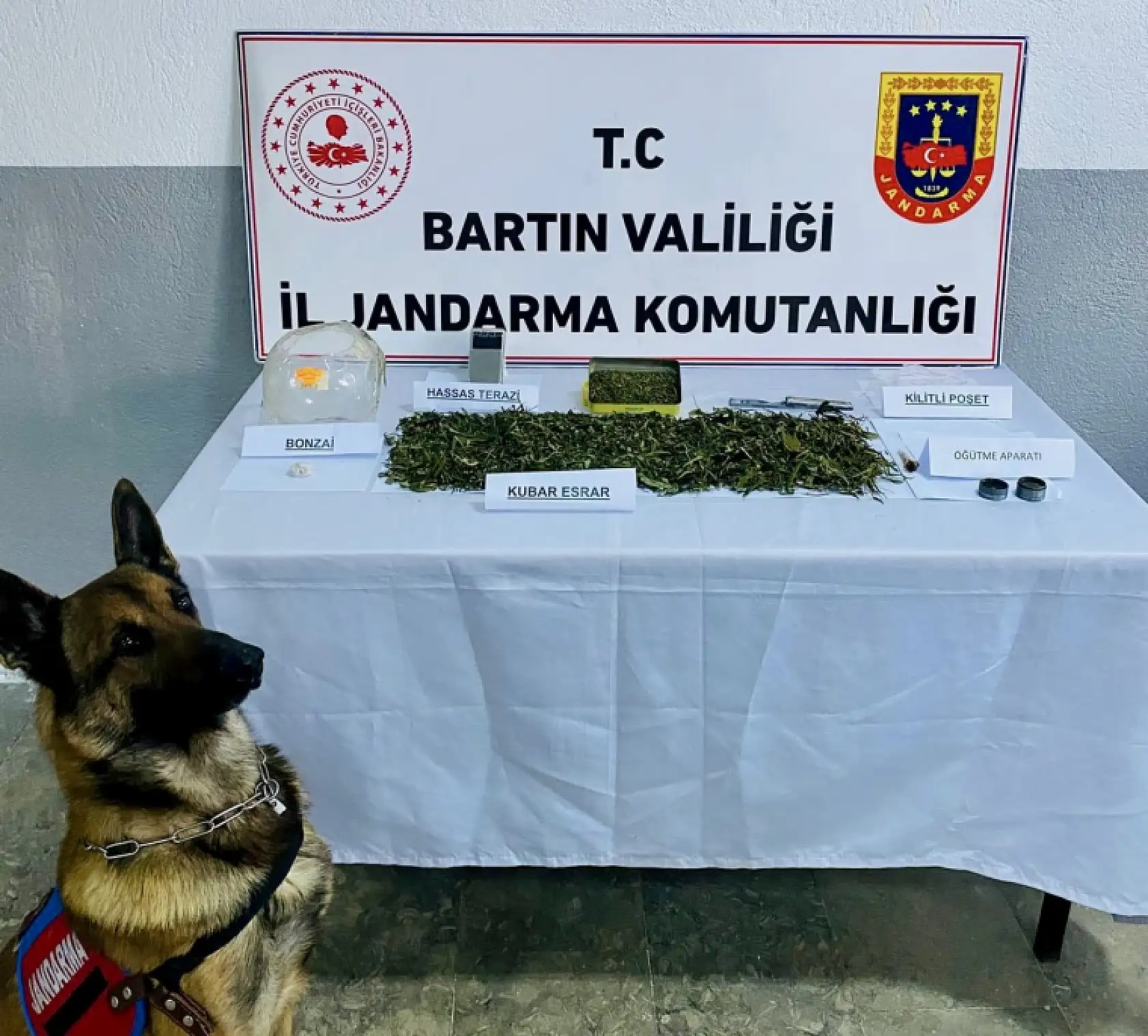 Bartın'da ağustos bilançosu