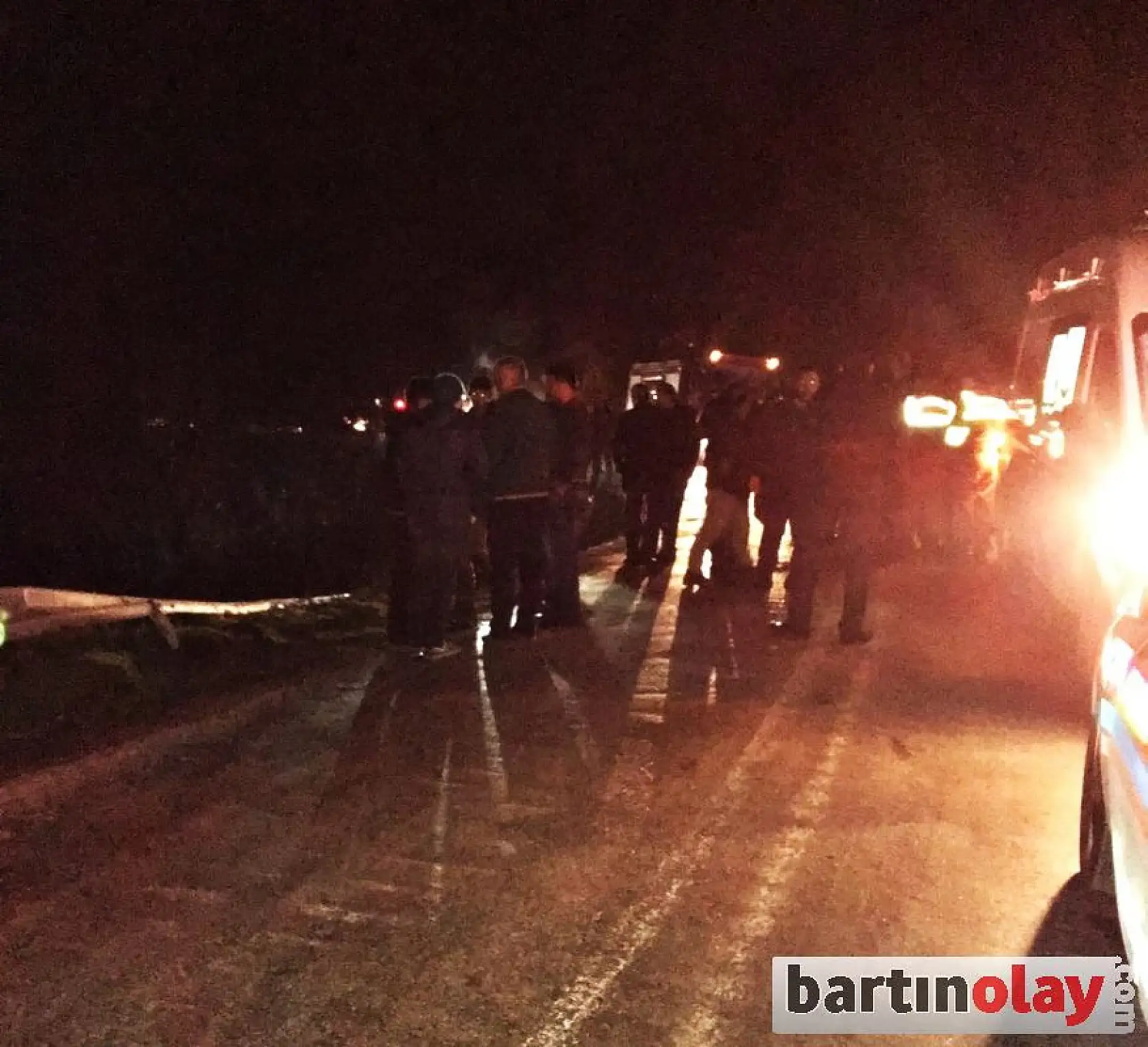 Tomruk yüklü kamyon uçuruma yuvarlandı