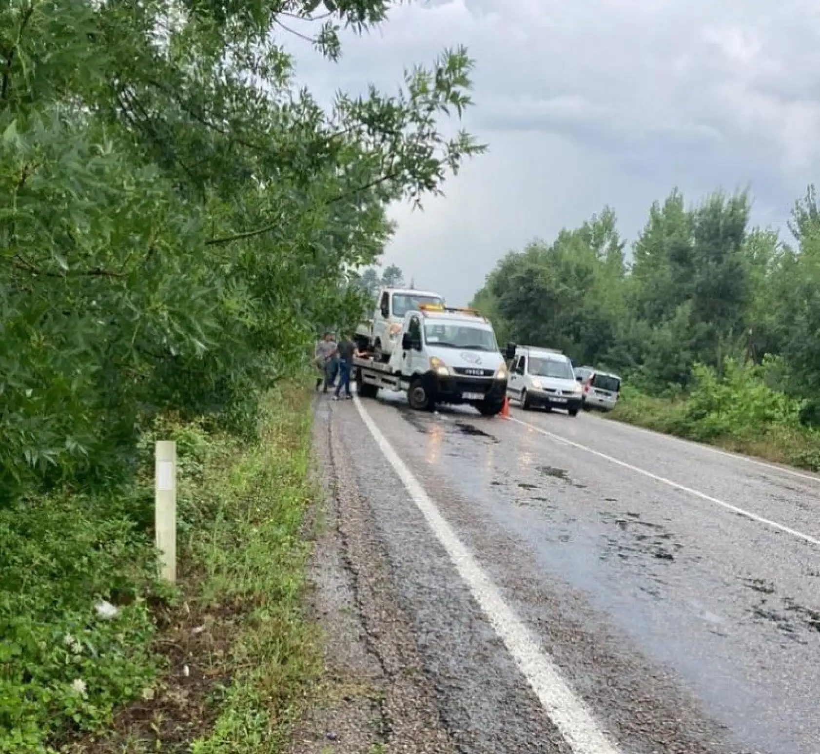 Kamyonet şarampole devrildi