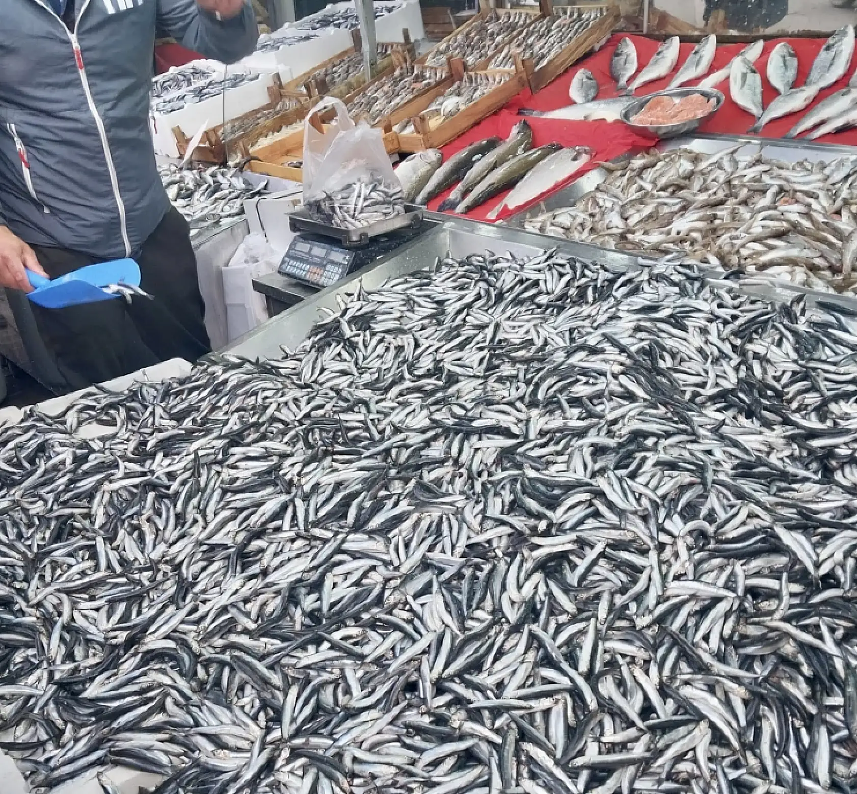 Fiyatlar vatandaşın yüzünü güldürdü