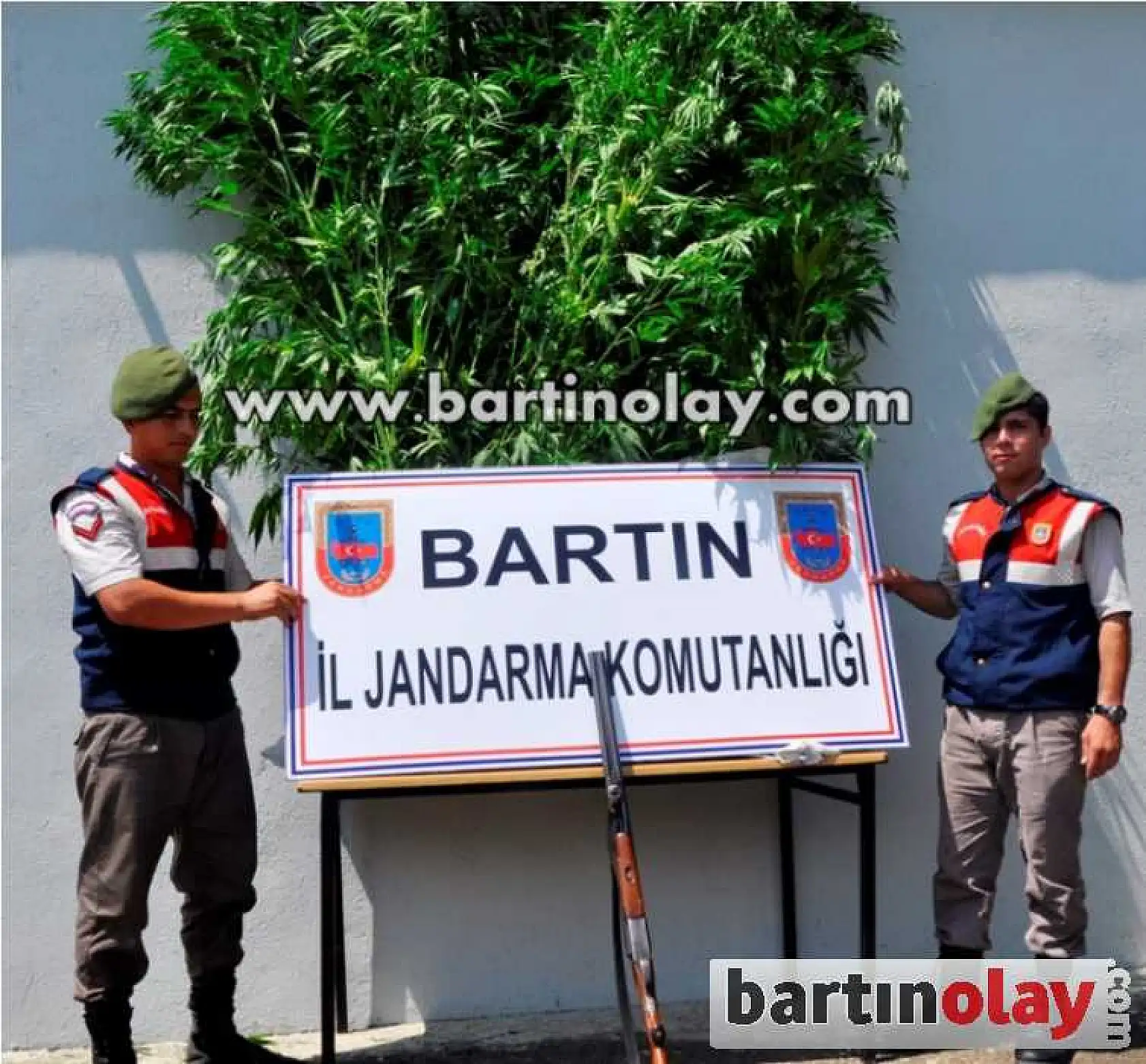 KOZCAĞIZ'DA KENEVİR OPERASYONU