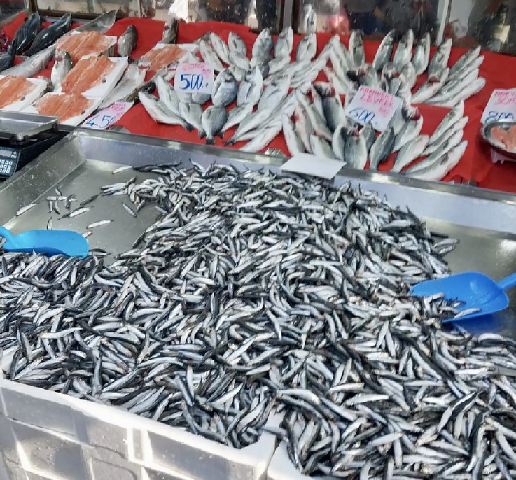 Balık yemek sağlık demek