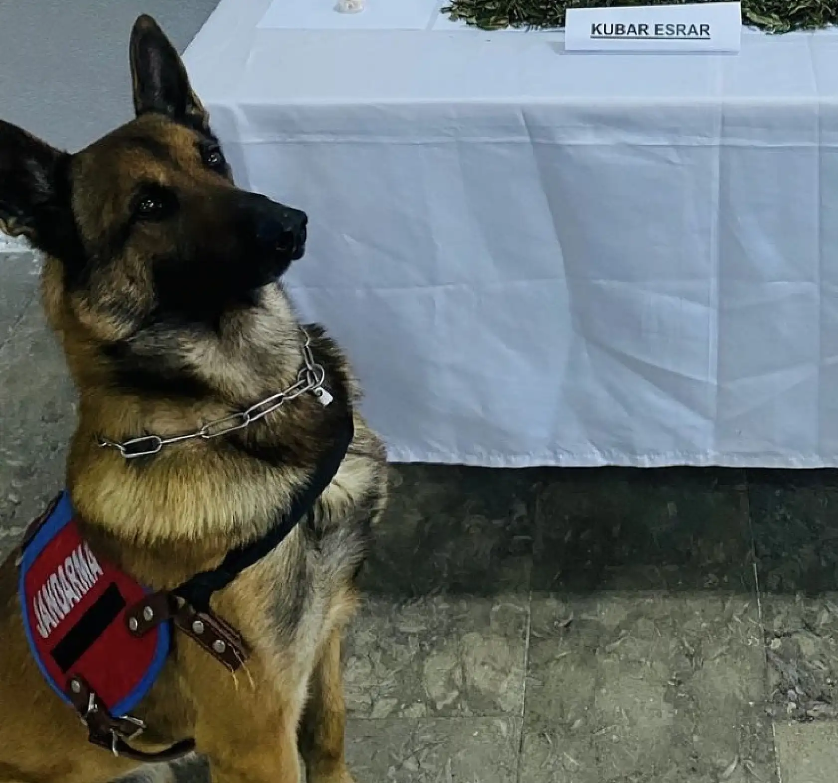 İstanbul'dan Getirdi, Bartın'da Yakalandı!