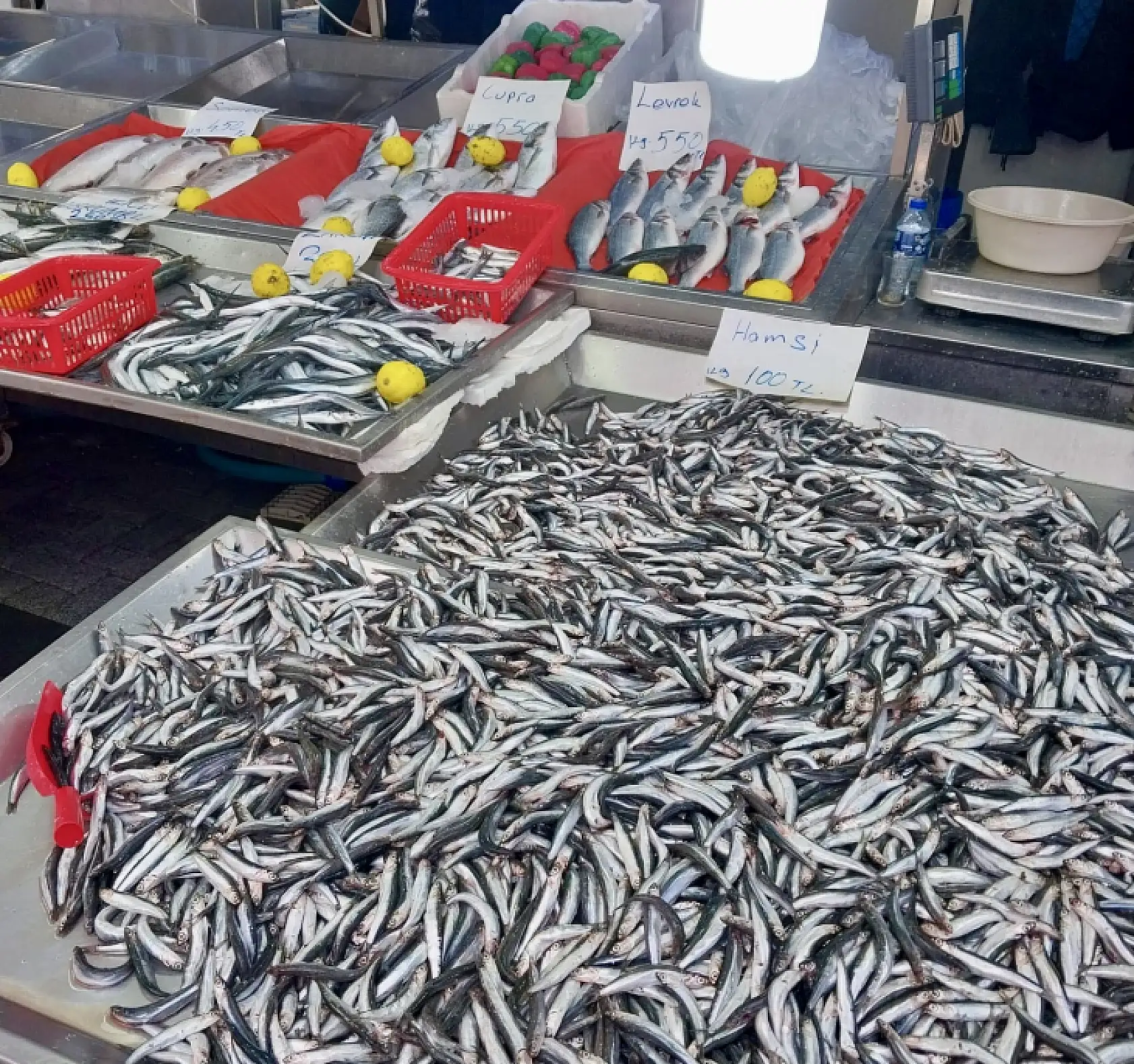 Tezgahın en uygun balığı