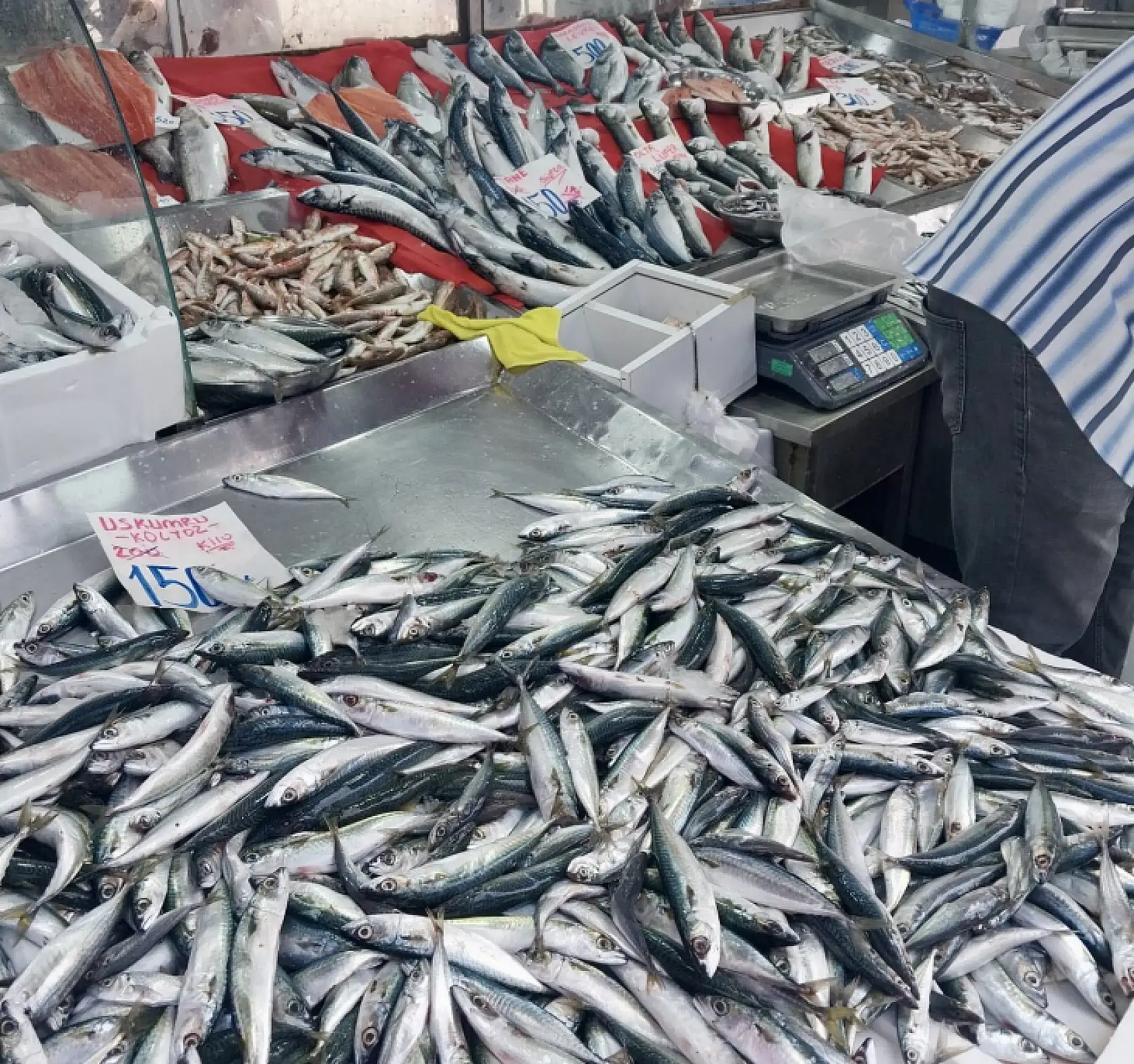 Fiyatlar denize göre değişiyor