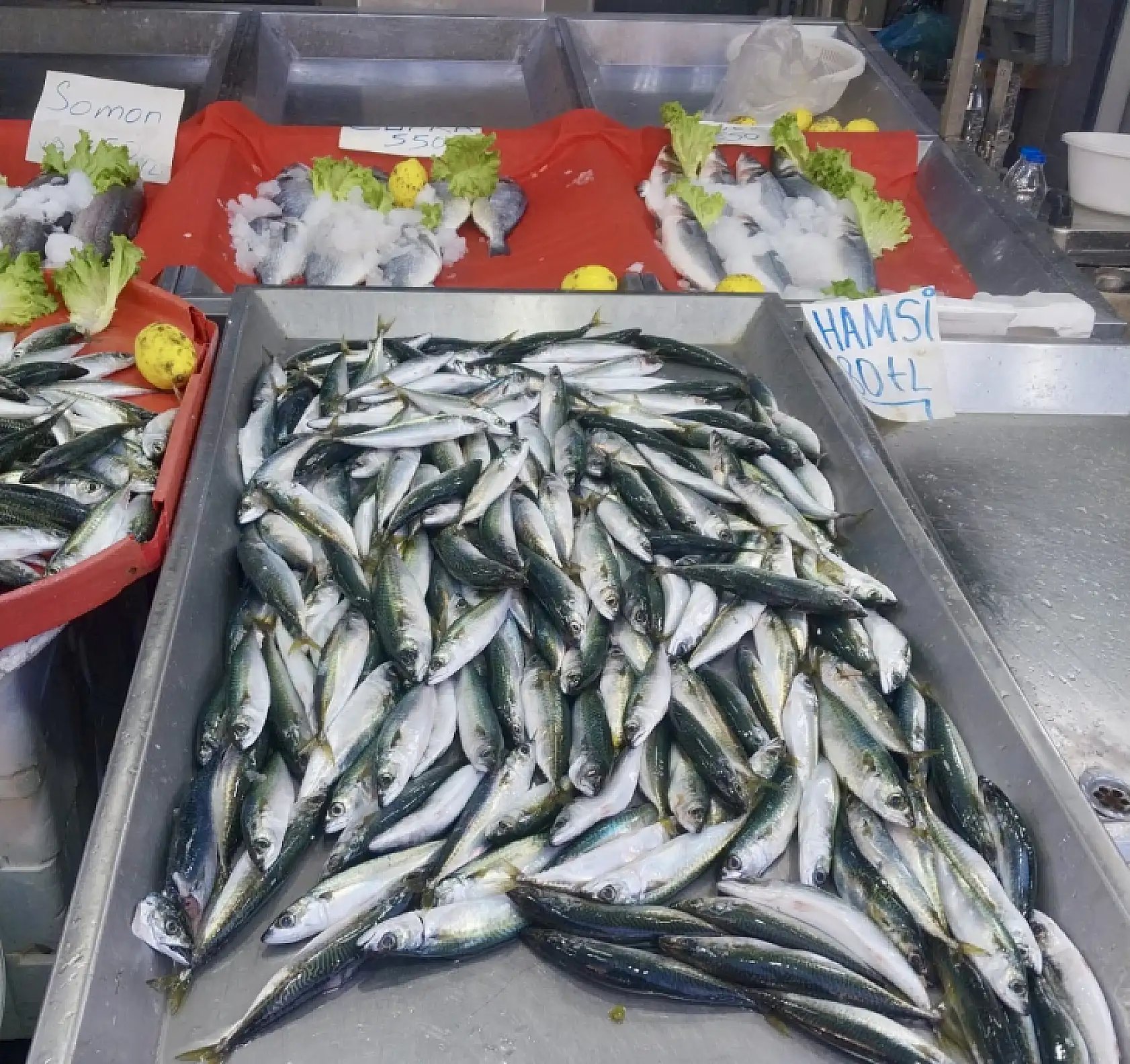 Hamsi bugün kampanyalı