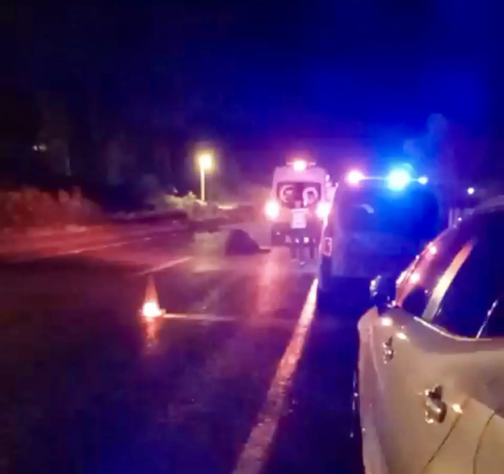 Ambulans mandaya çarptı