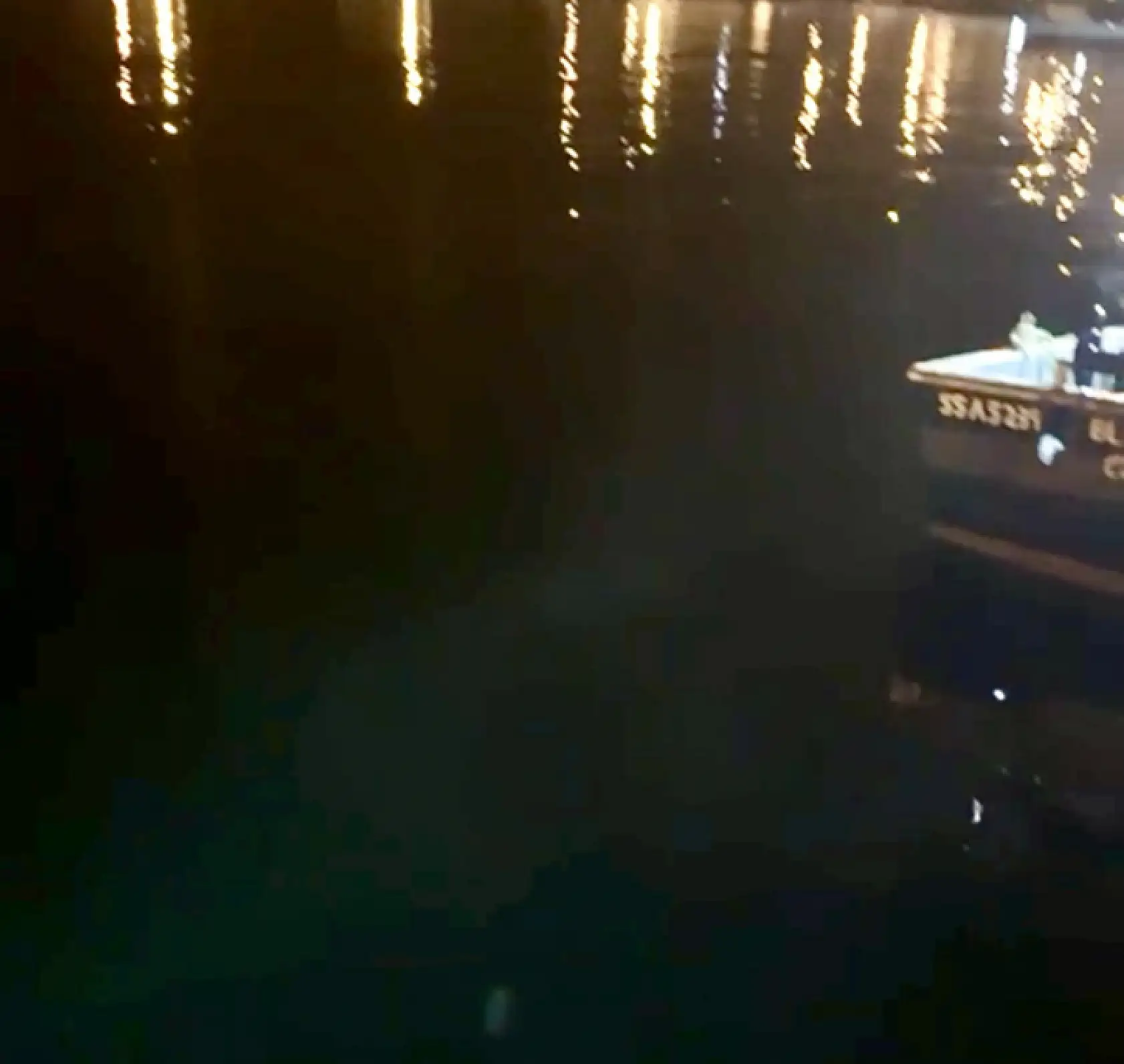 Arabayla denize uçtu