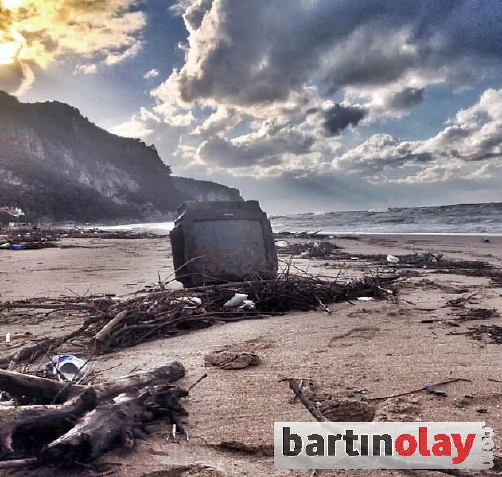 Kıyıya İnek Ölüsü Vurdu