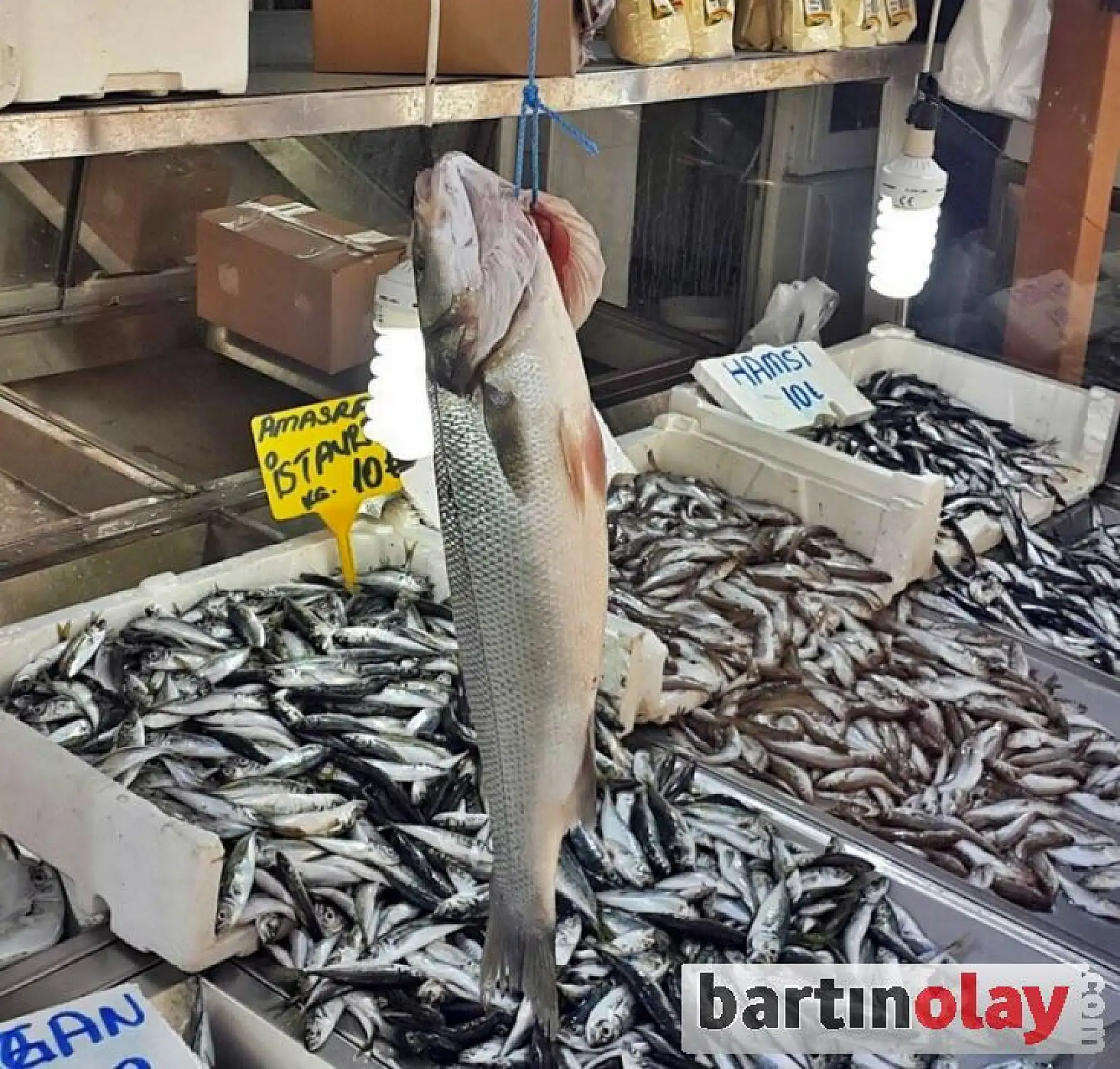 Balık Sezonu başladı, işte fiyatlar