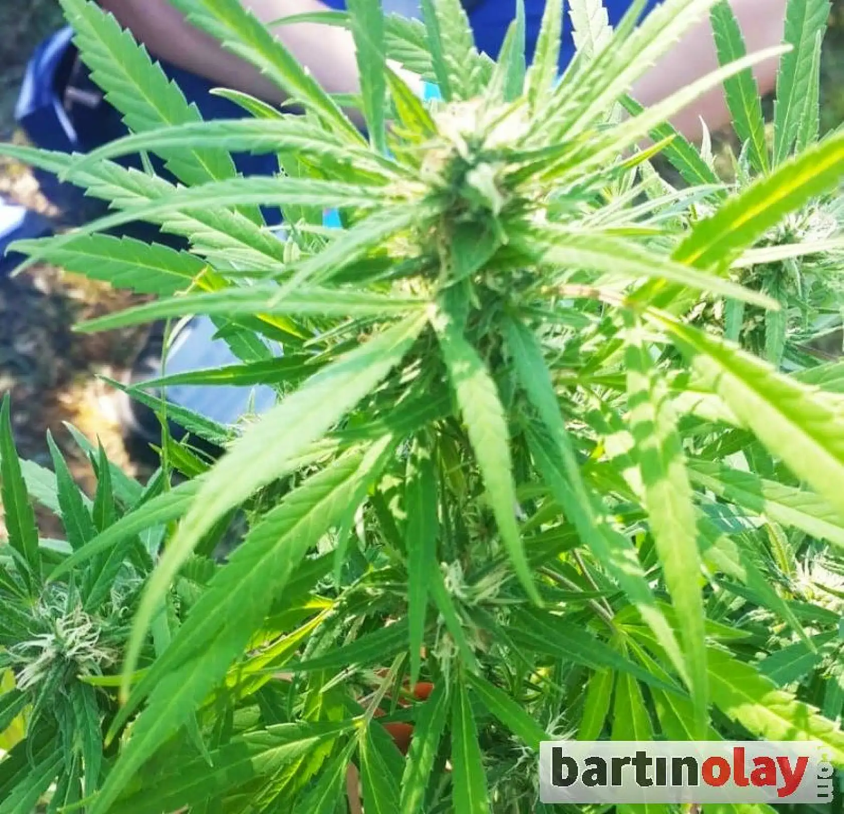 Jandarmadan bayram operasyonu