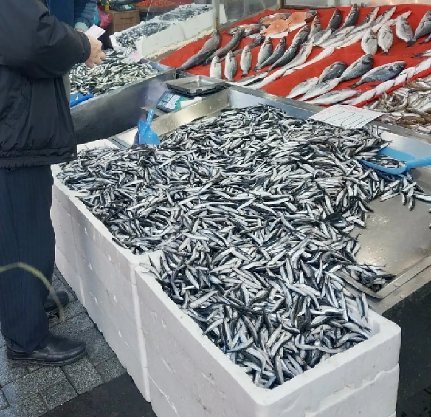 Pazarda son durum