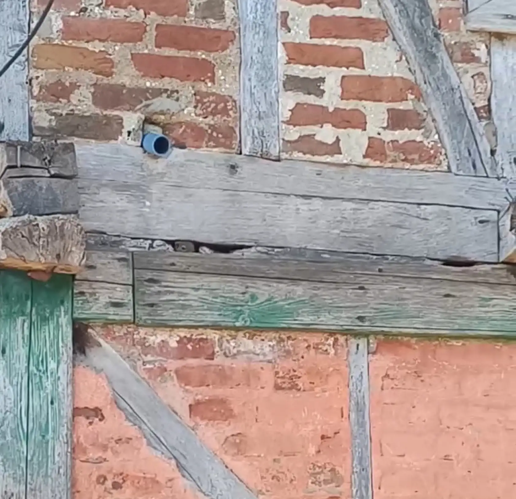 Bartın'da Sıcacık Dostluk