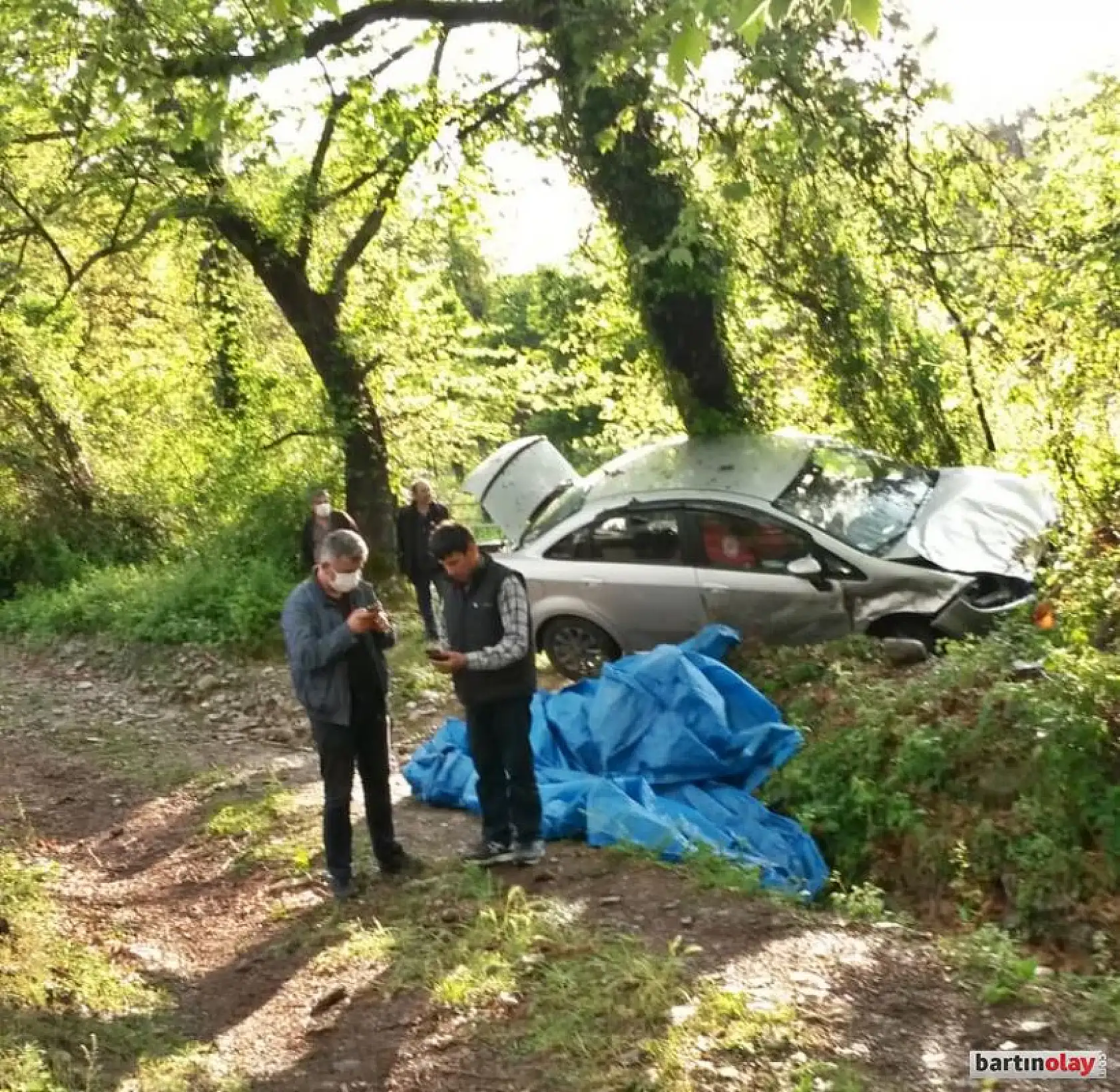 Yoldan çıktı, ağaca çarptı