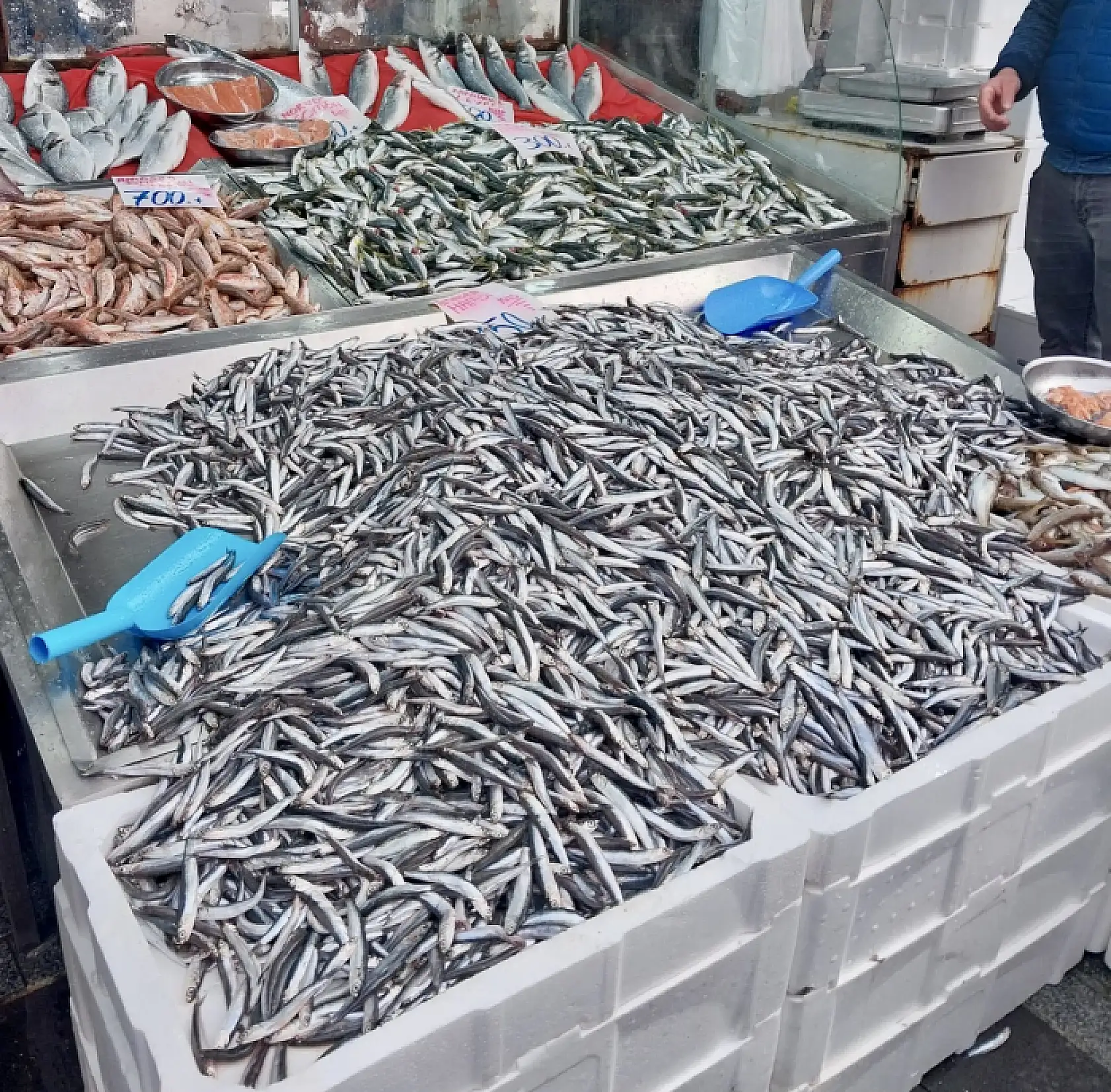 Balık bollaştı, tezgahlar coştu