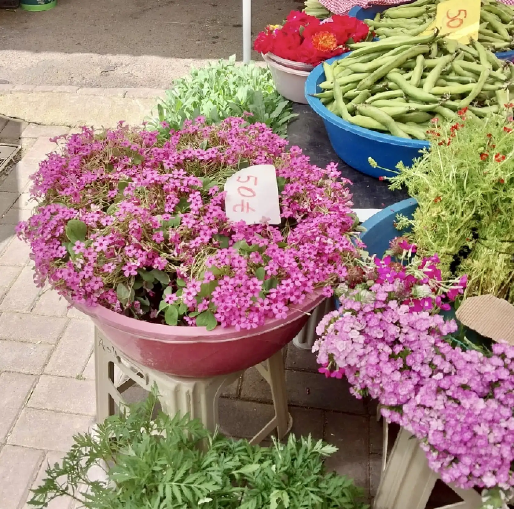 Bu hafta hangi ürünler daha uygun