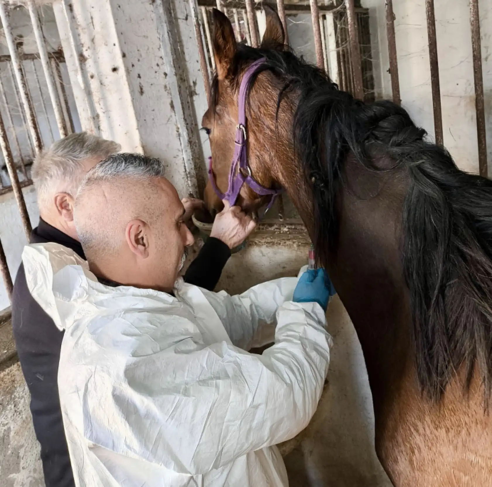 Değeri dudak uçuklatıyor