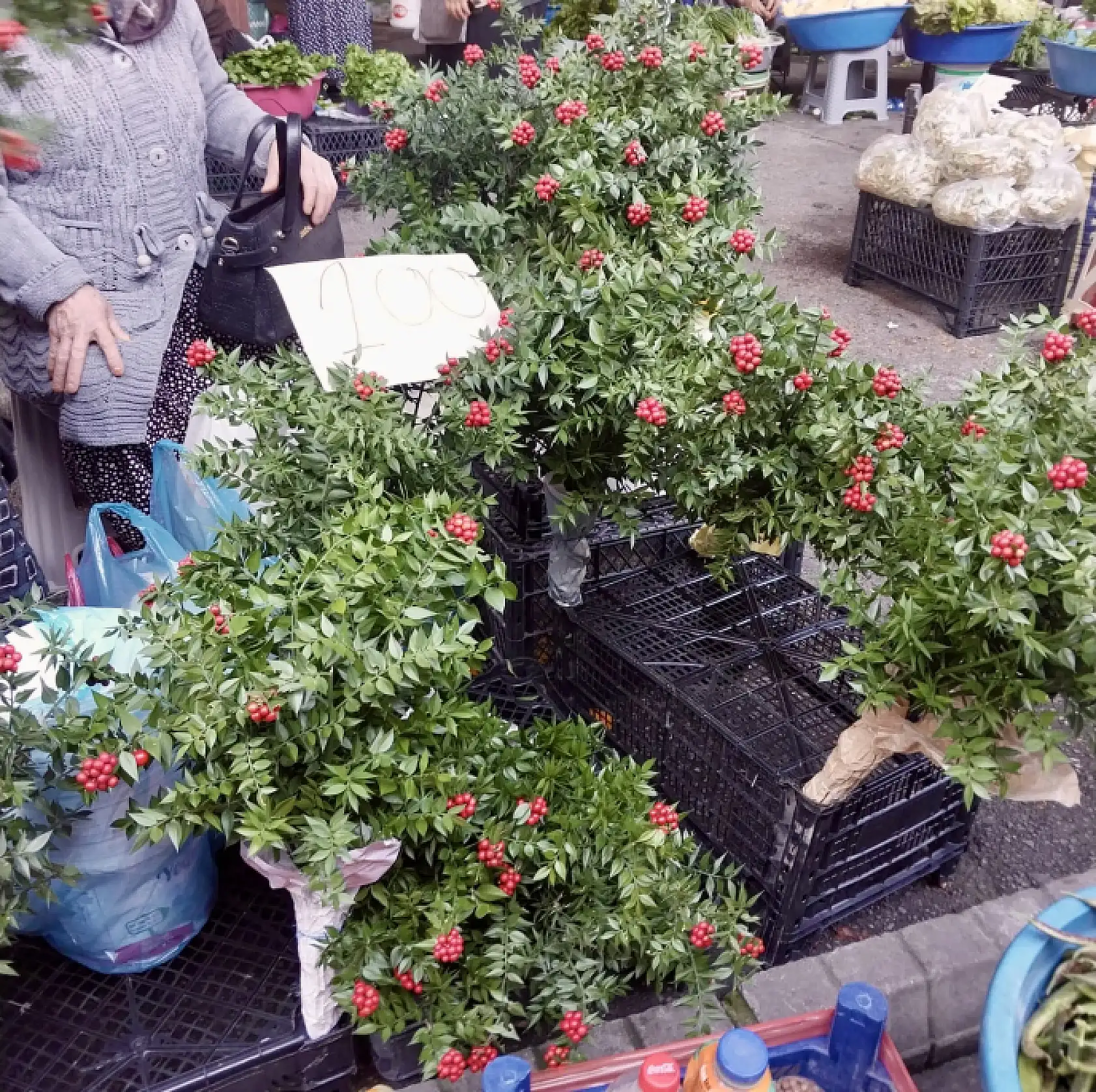 Pazarda şaşırtan fiyatlar