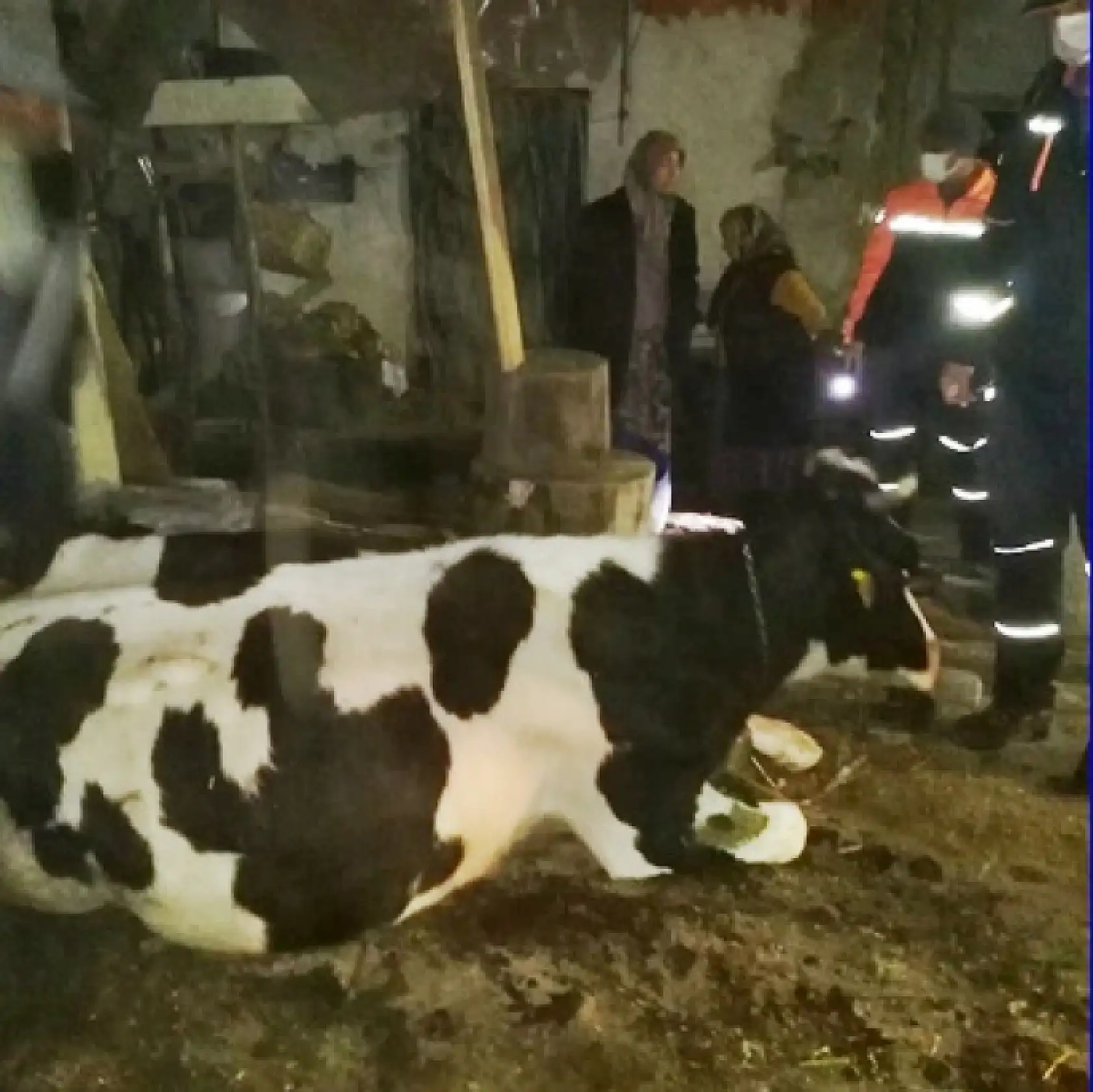 Dereye düştü, ekipler seferber oldu