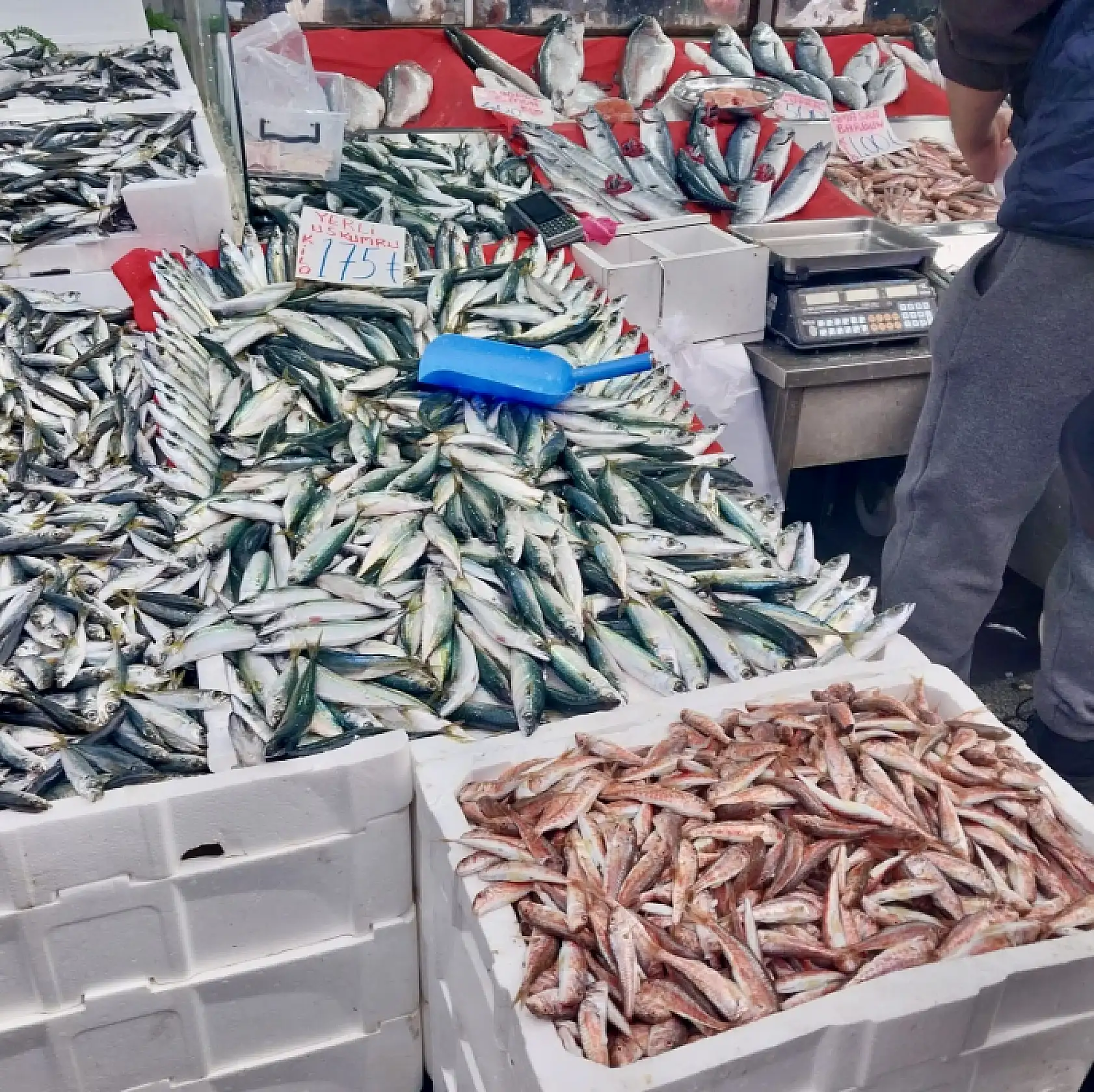 Deniz cömert, pazar sert