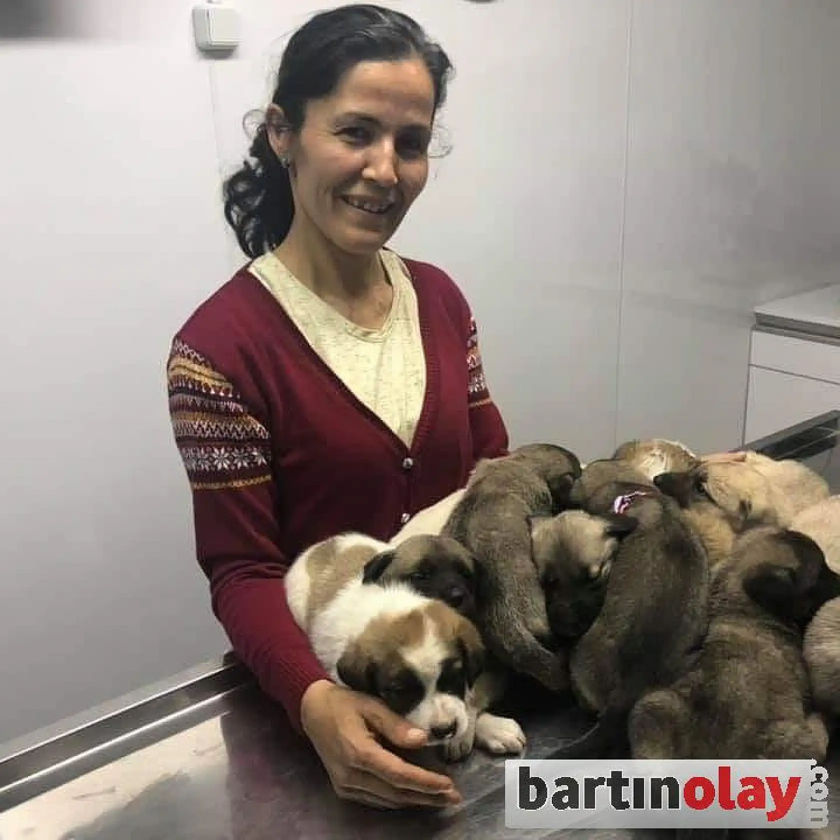 11 kangal yavrusu ilk aşılarını oldu