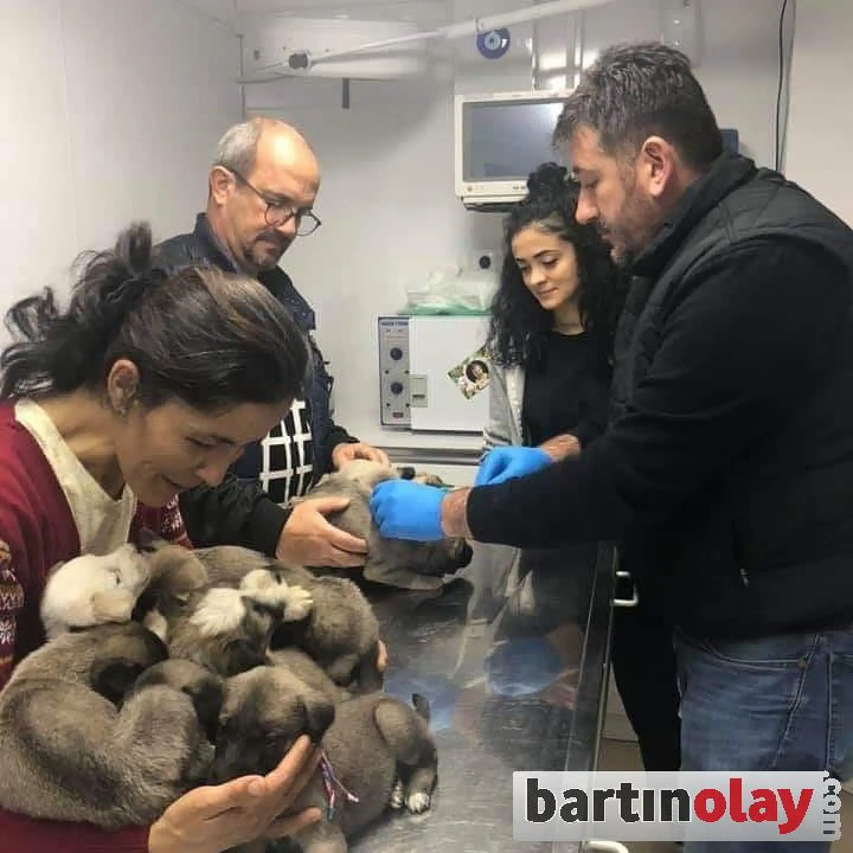 11 kangal yavrusu ilk aşılarını oldu