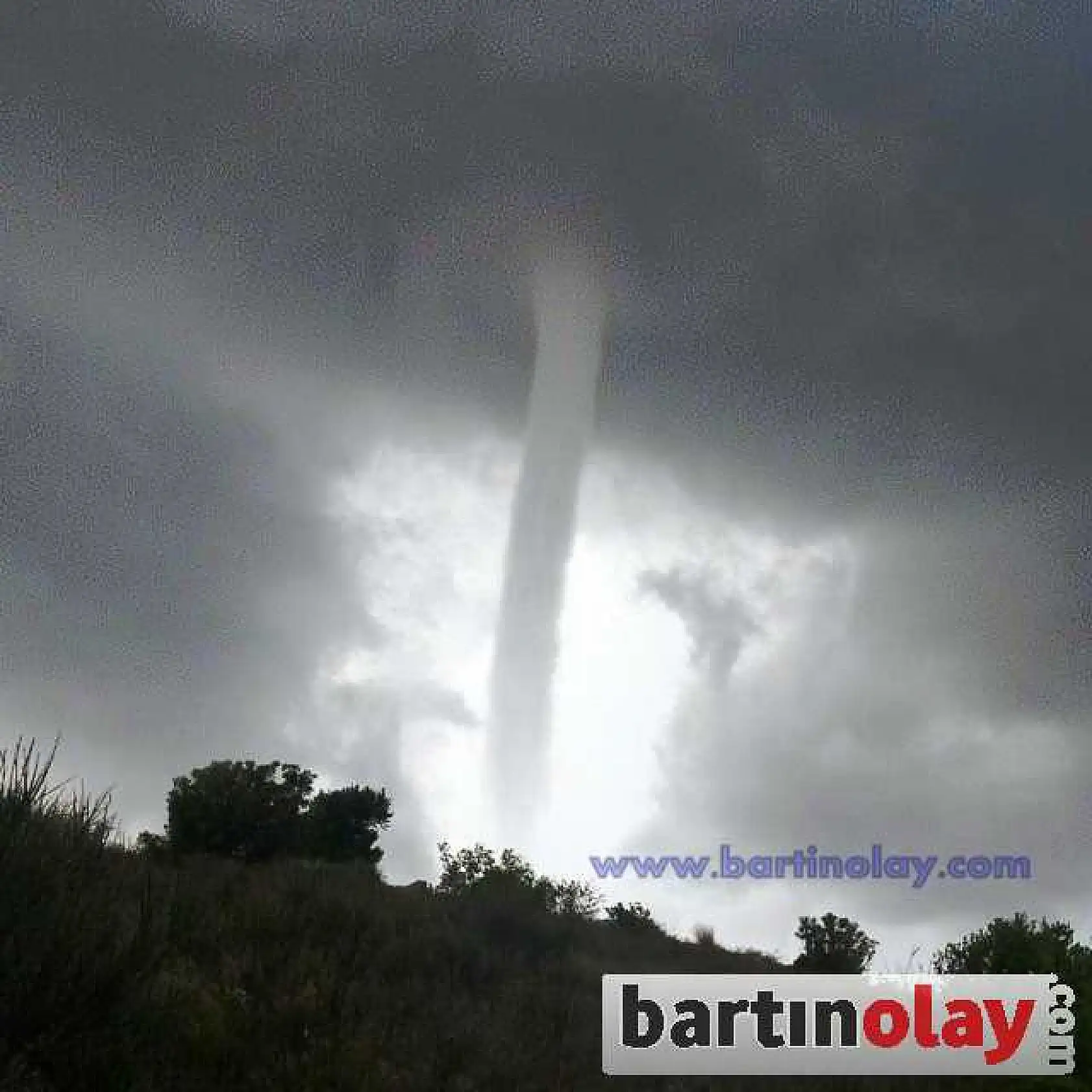 AMASRA'DA HORTUM PANİĞİ YAŞANDI