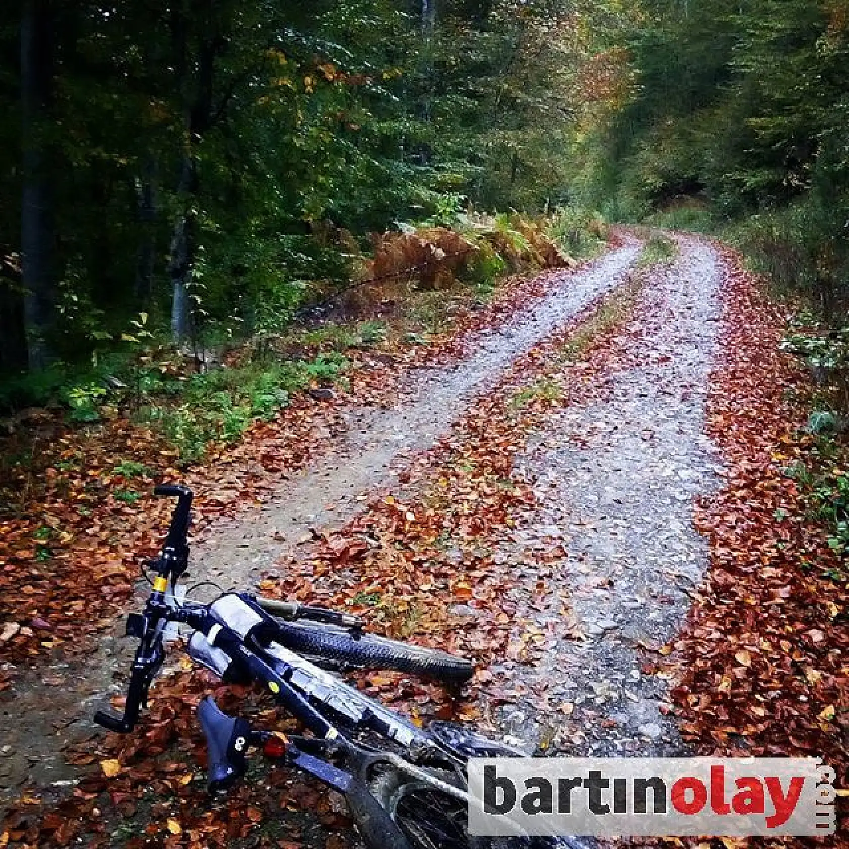 Bisiklet festivalinden renkli görüntüler