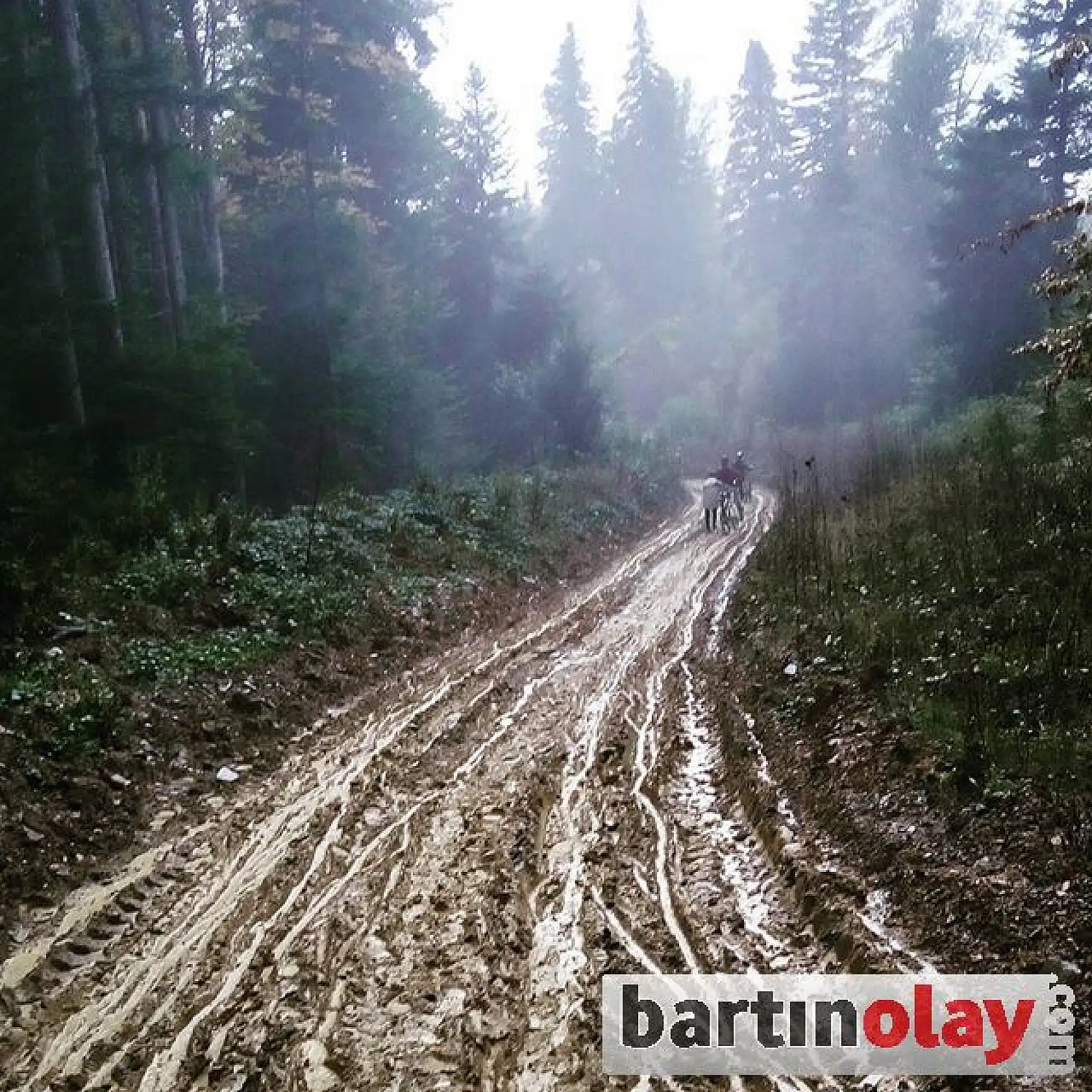 Bisiklet festivalinden renkli görüntüler
