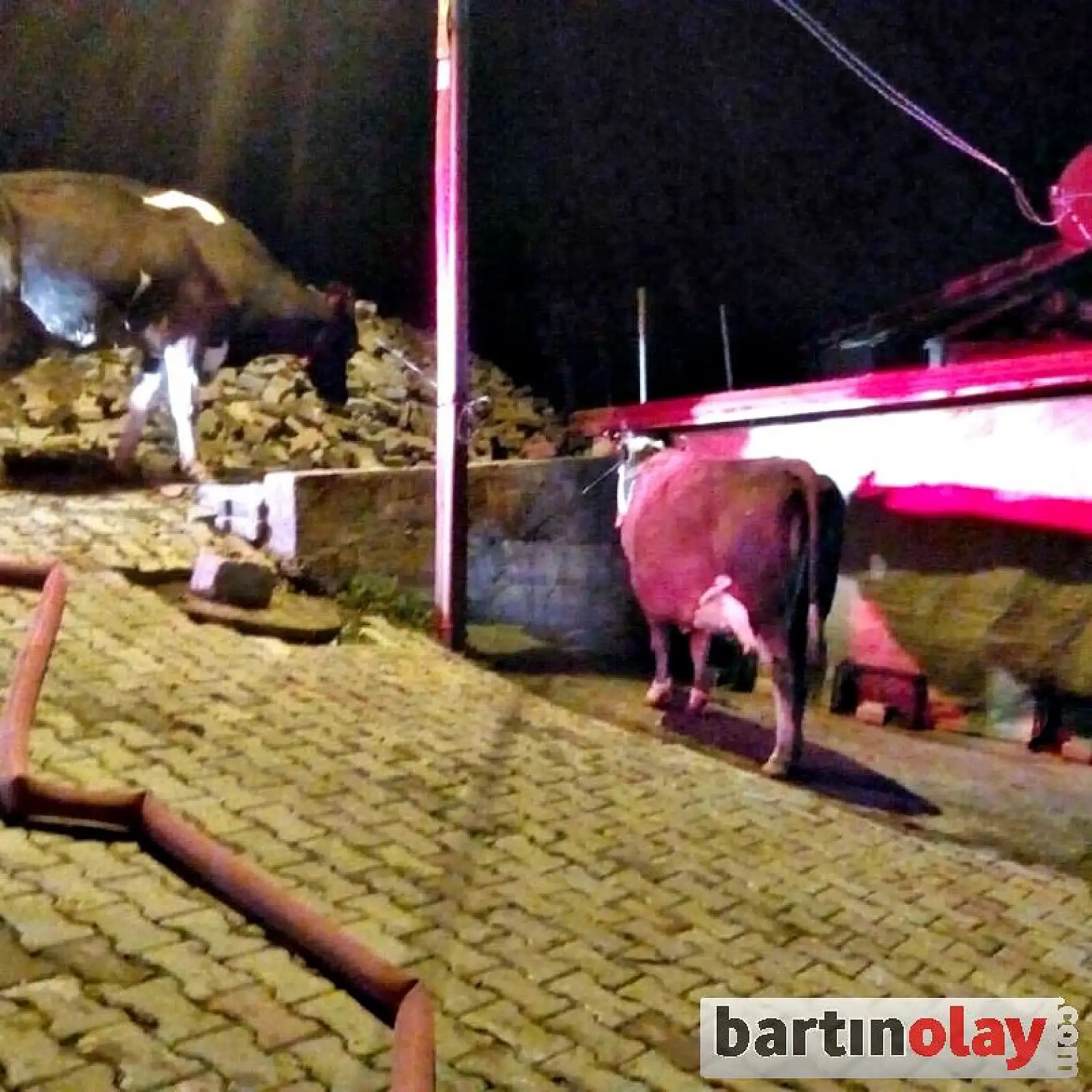 Samanlıkta Çıkan Yangın Korkuttu