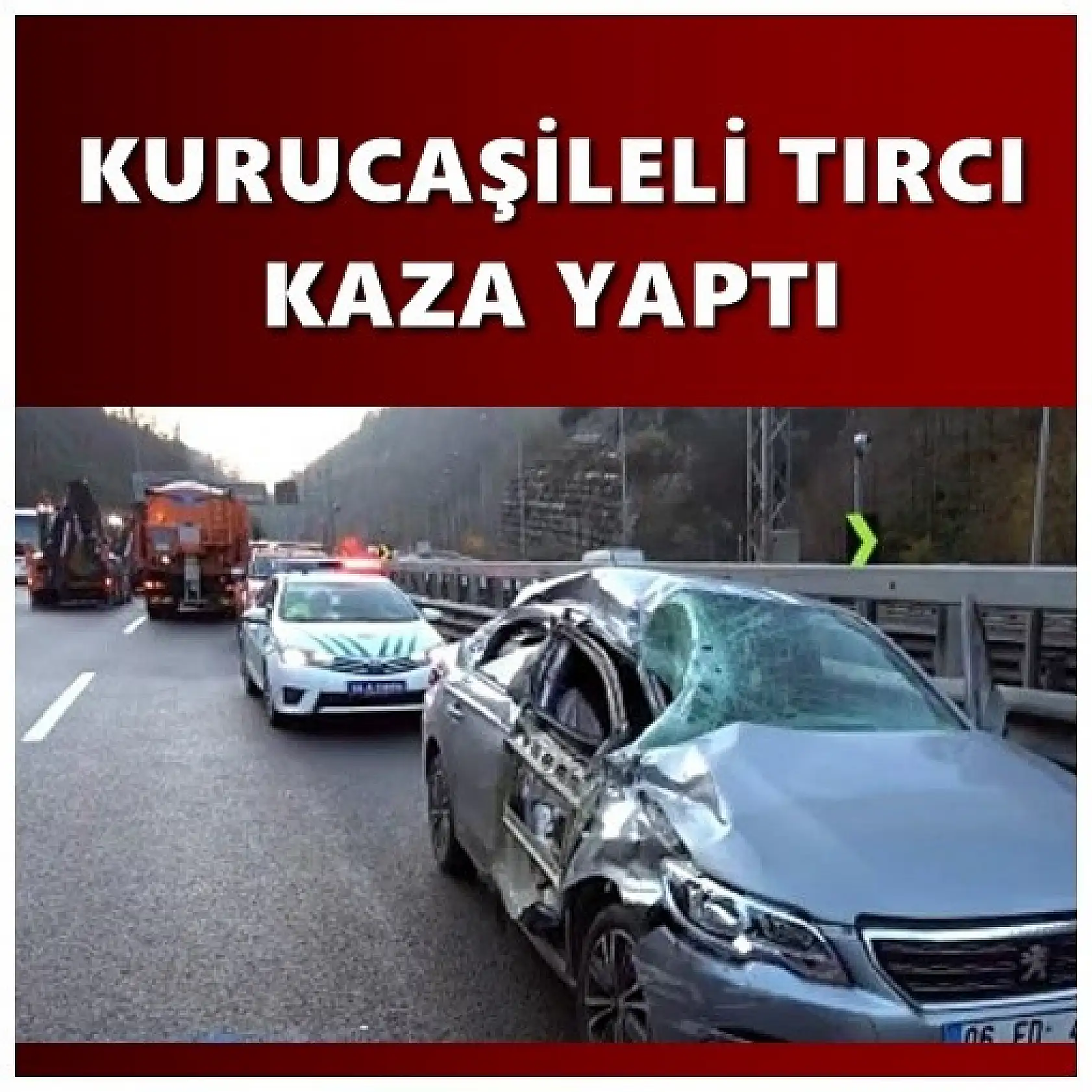 Tomruk yüklü tır kaza yaptı