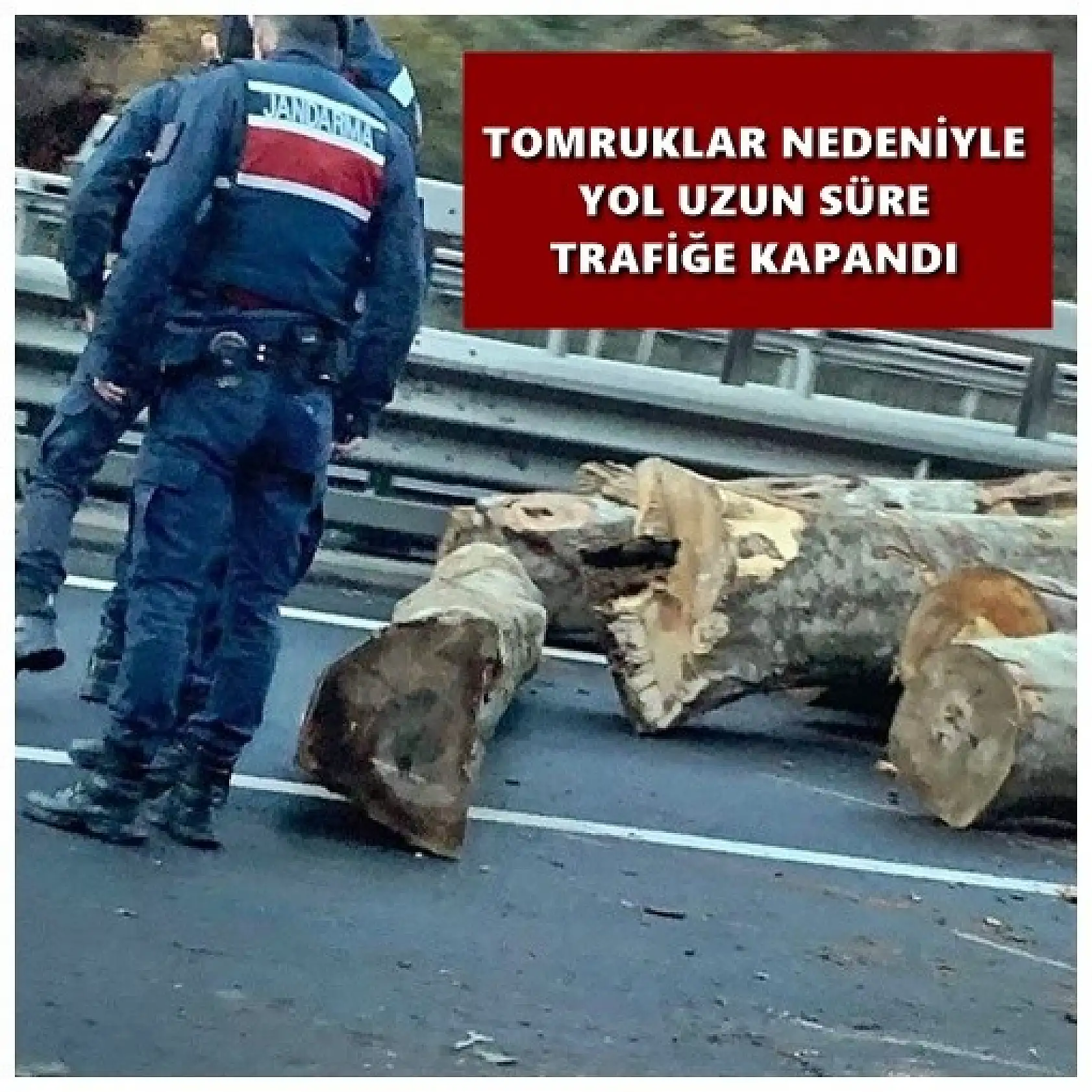 Tomruk yüklü tır kaza yaptı