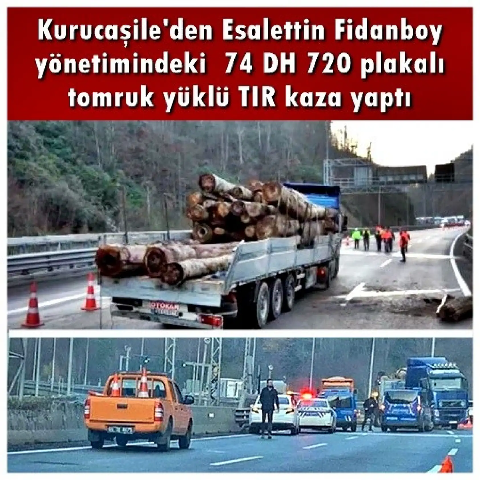 Tomruk yüklü tır kaza yaptı