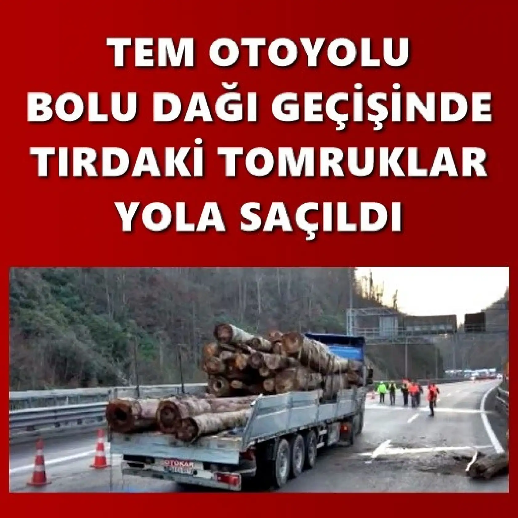 Tomruk yüklü tır kaza yaptı