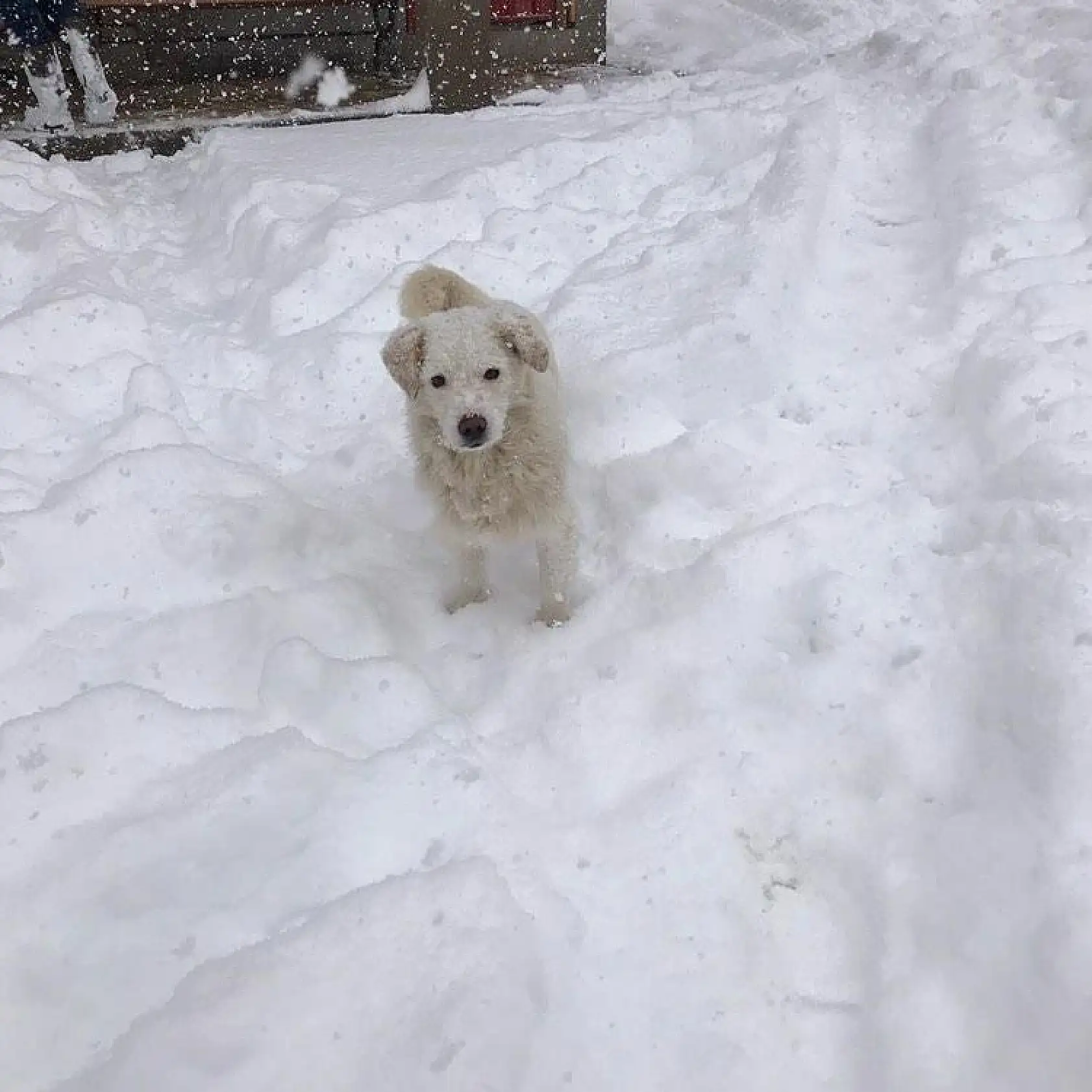 Ulukaya'dan çok güzel kar manzaraları