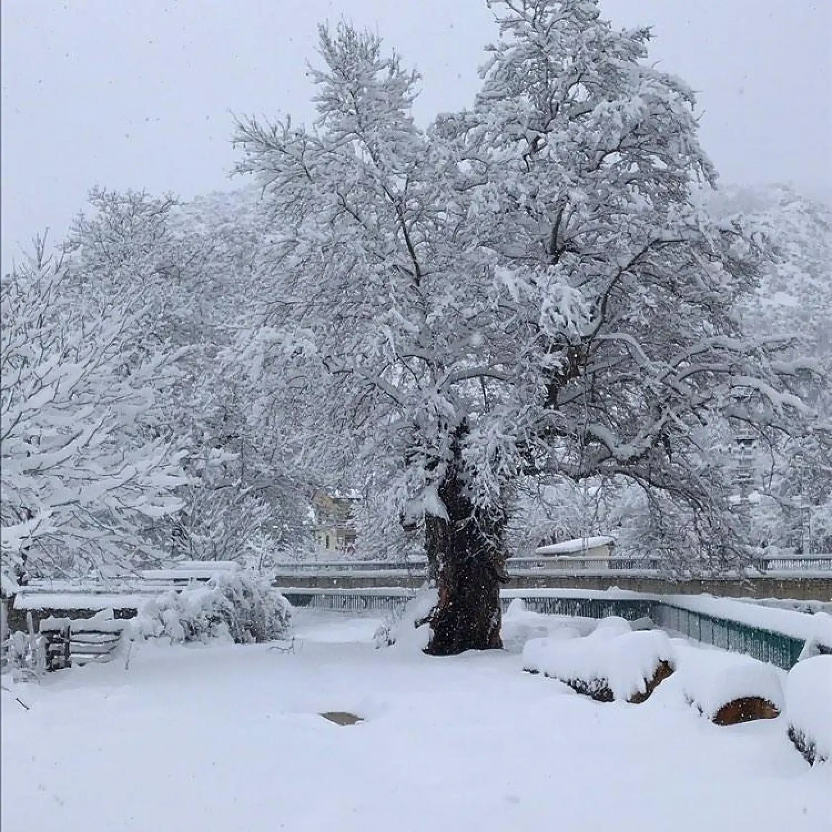Ulukaya'dan çok güzel kar manzaraları