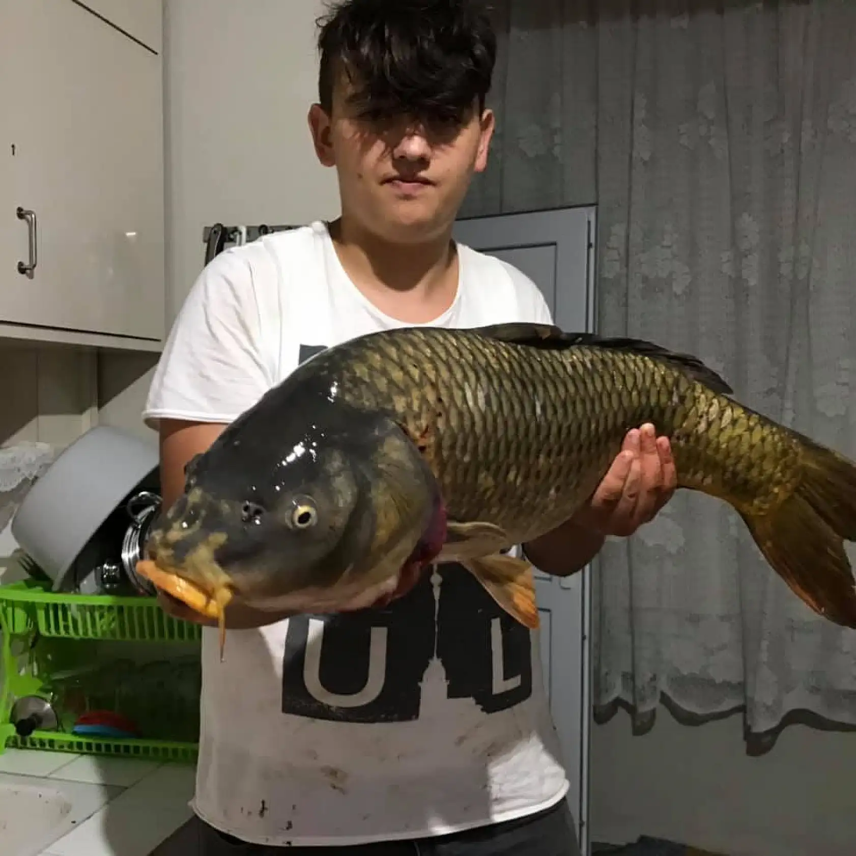 Yakaladığı dev sazan görenleri şaşırttı