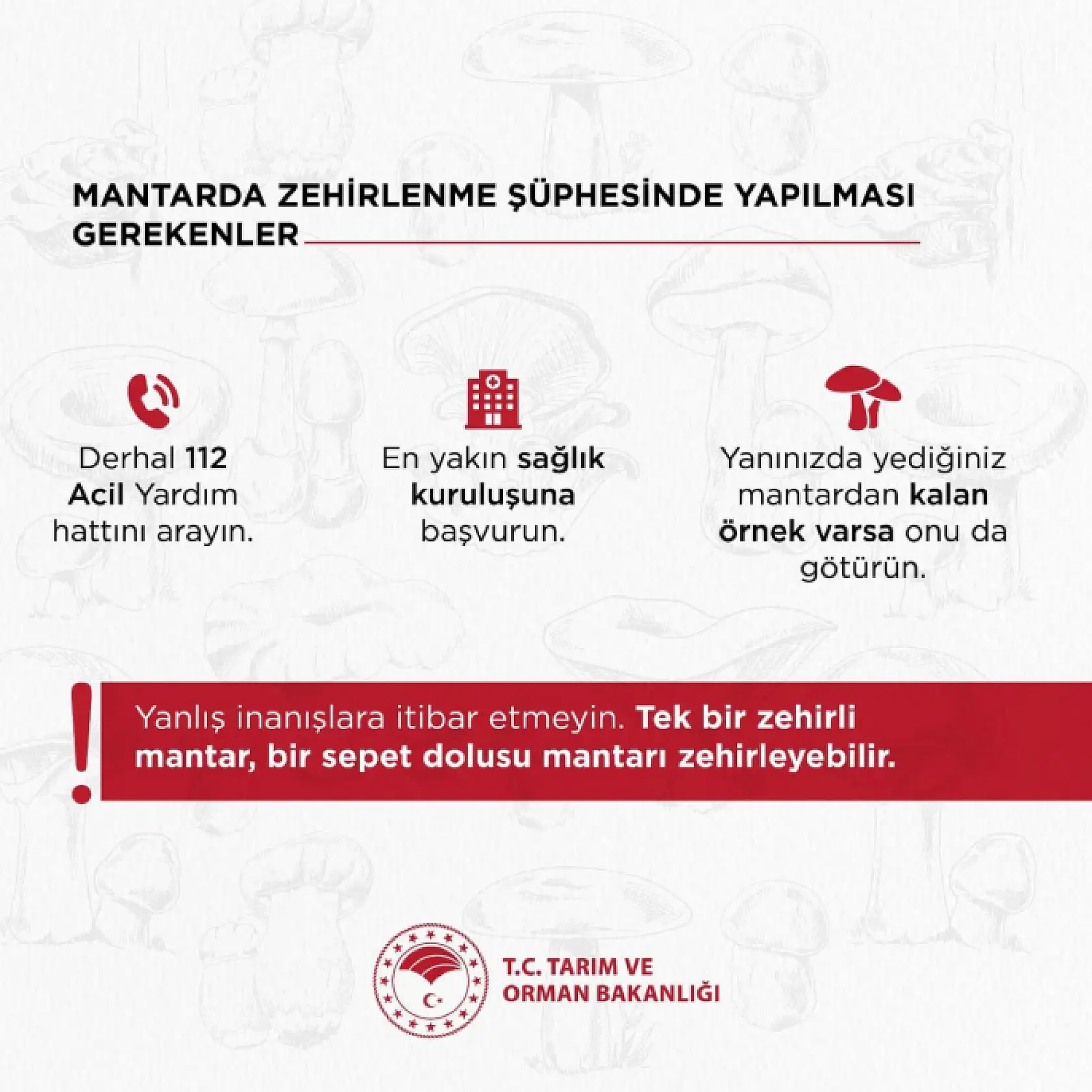 Bartın Valiliğinden Mantar Uyarısı