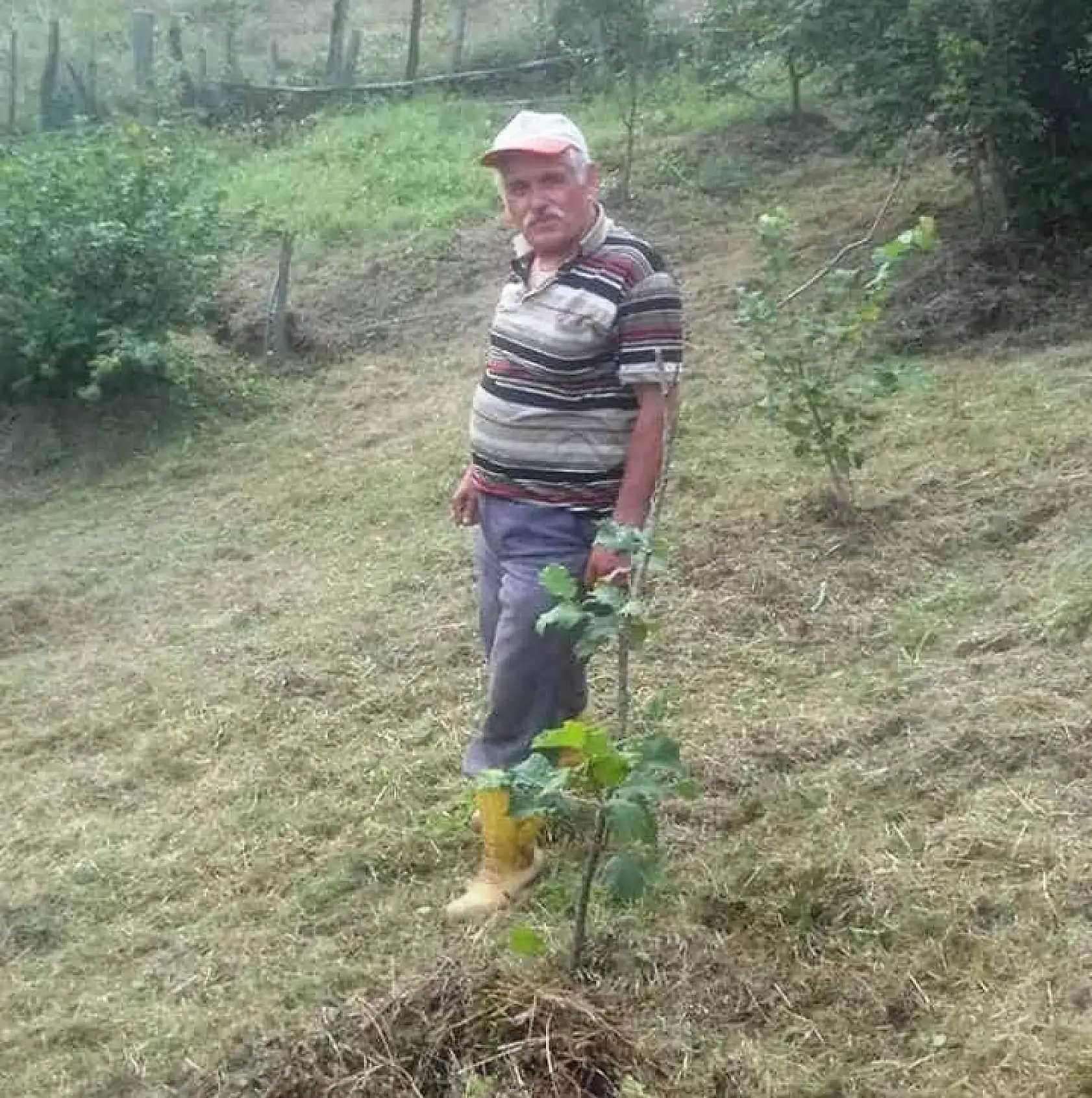 Bahçede korkunç manzara