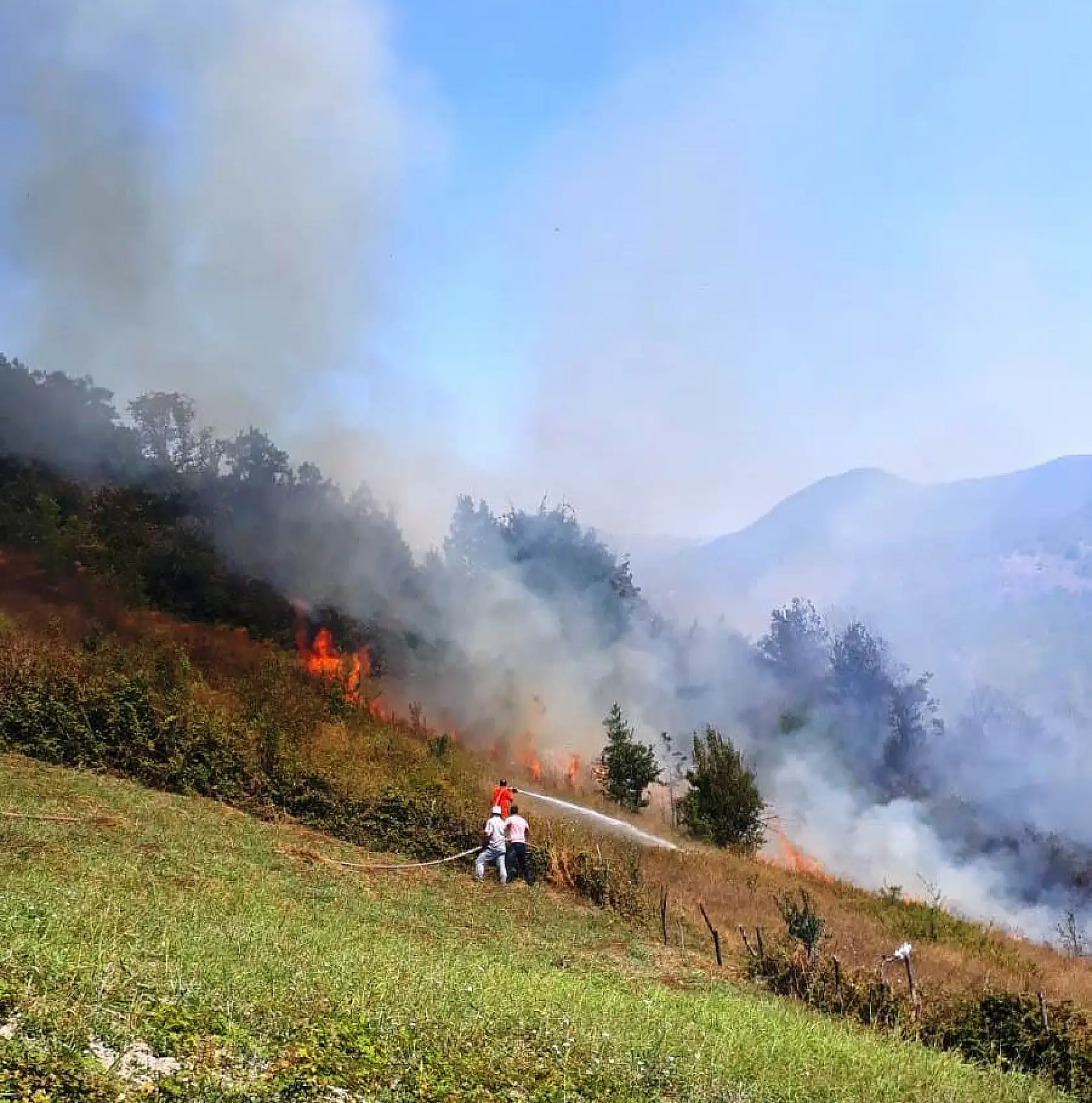 Bartın'da orman yangını