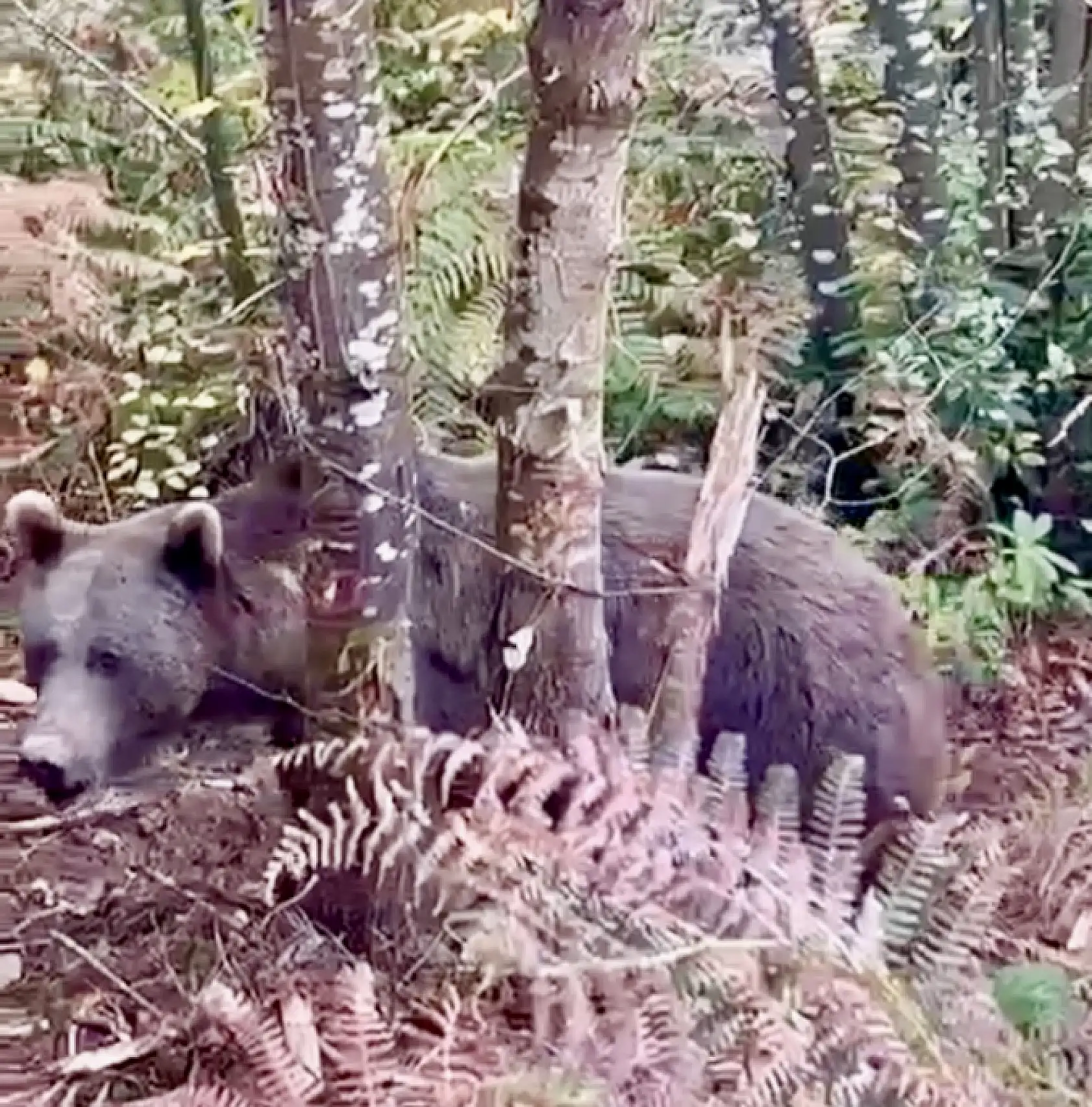 Ekipler seferber oldu