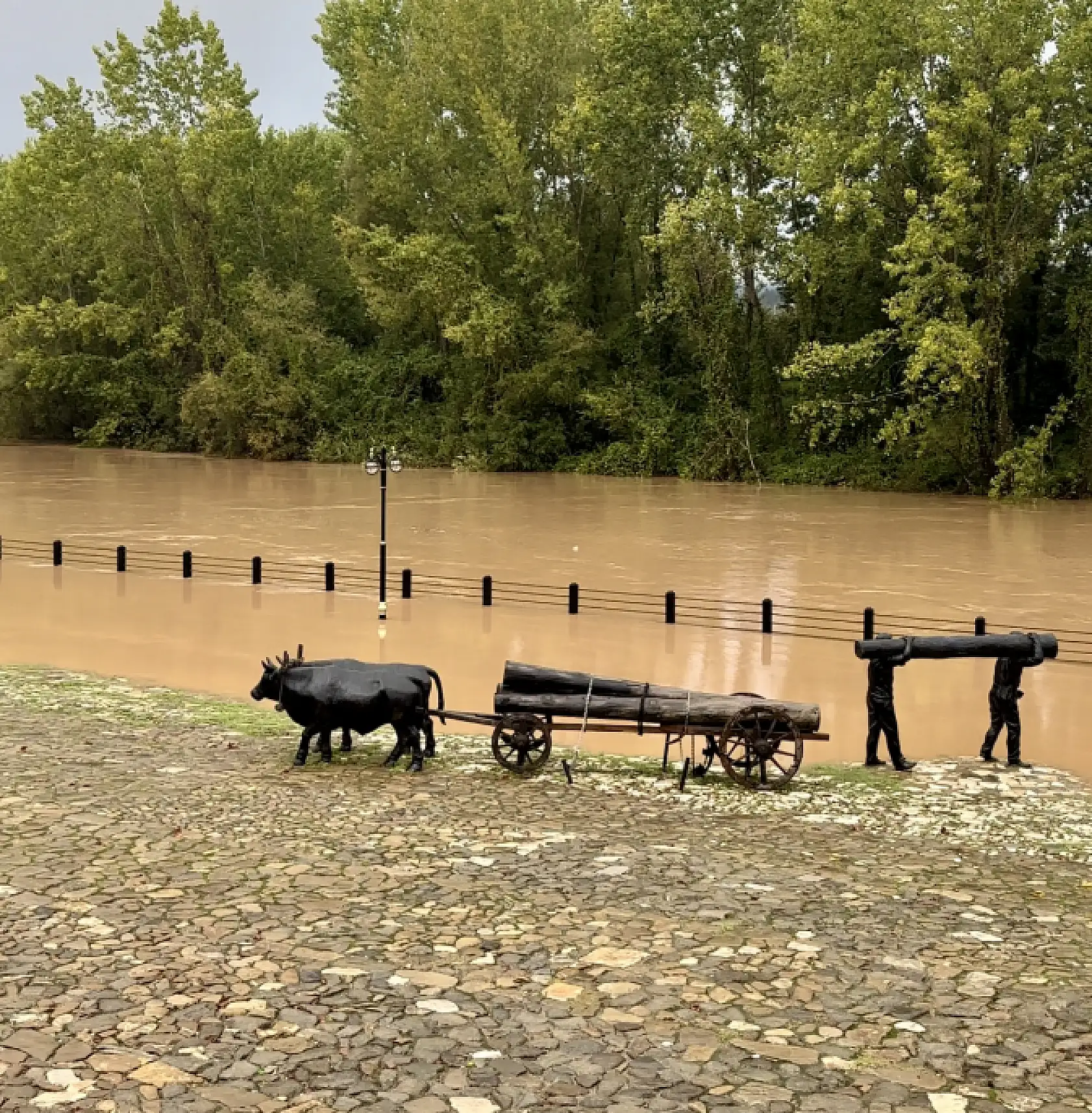 Yalı ve çağlayanda ırmak taştı